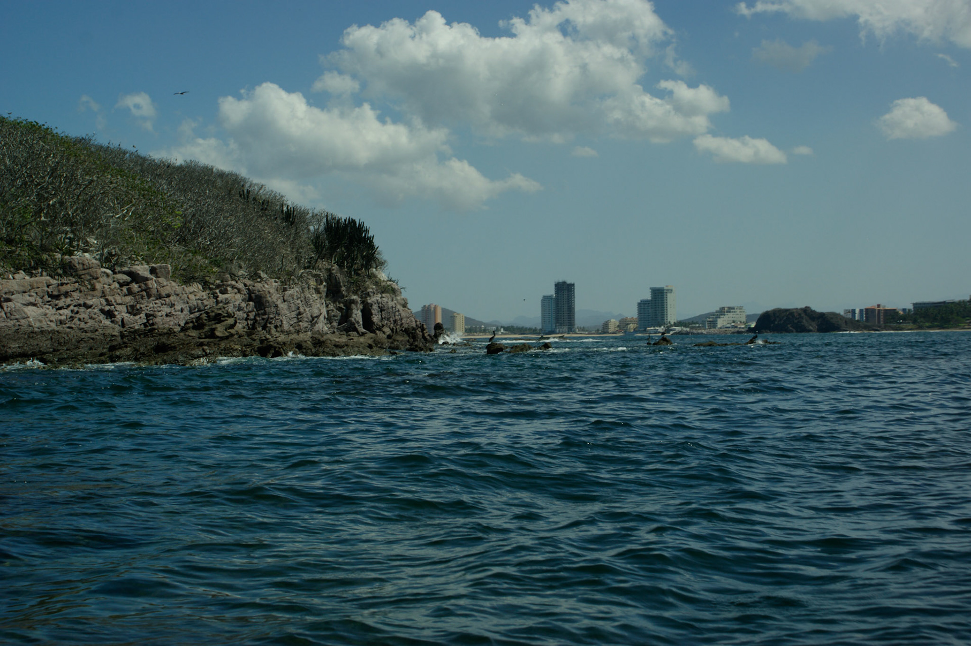 SONY DSC
