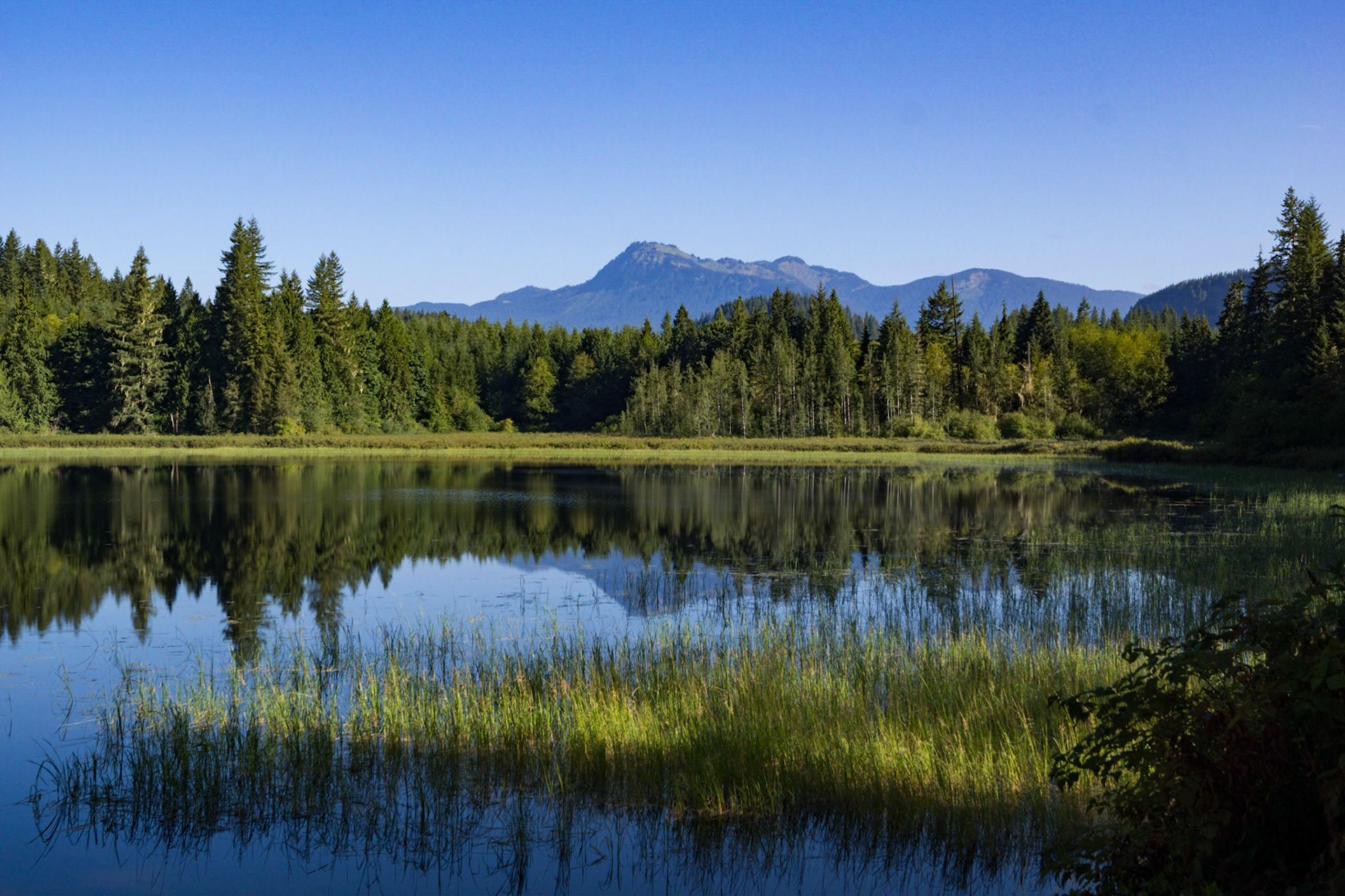 Saulk Mt. in the background