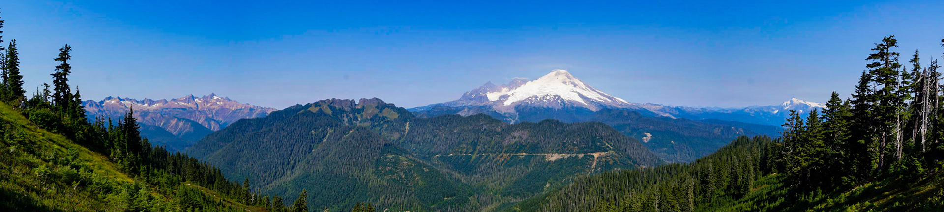 Panoramic view