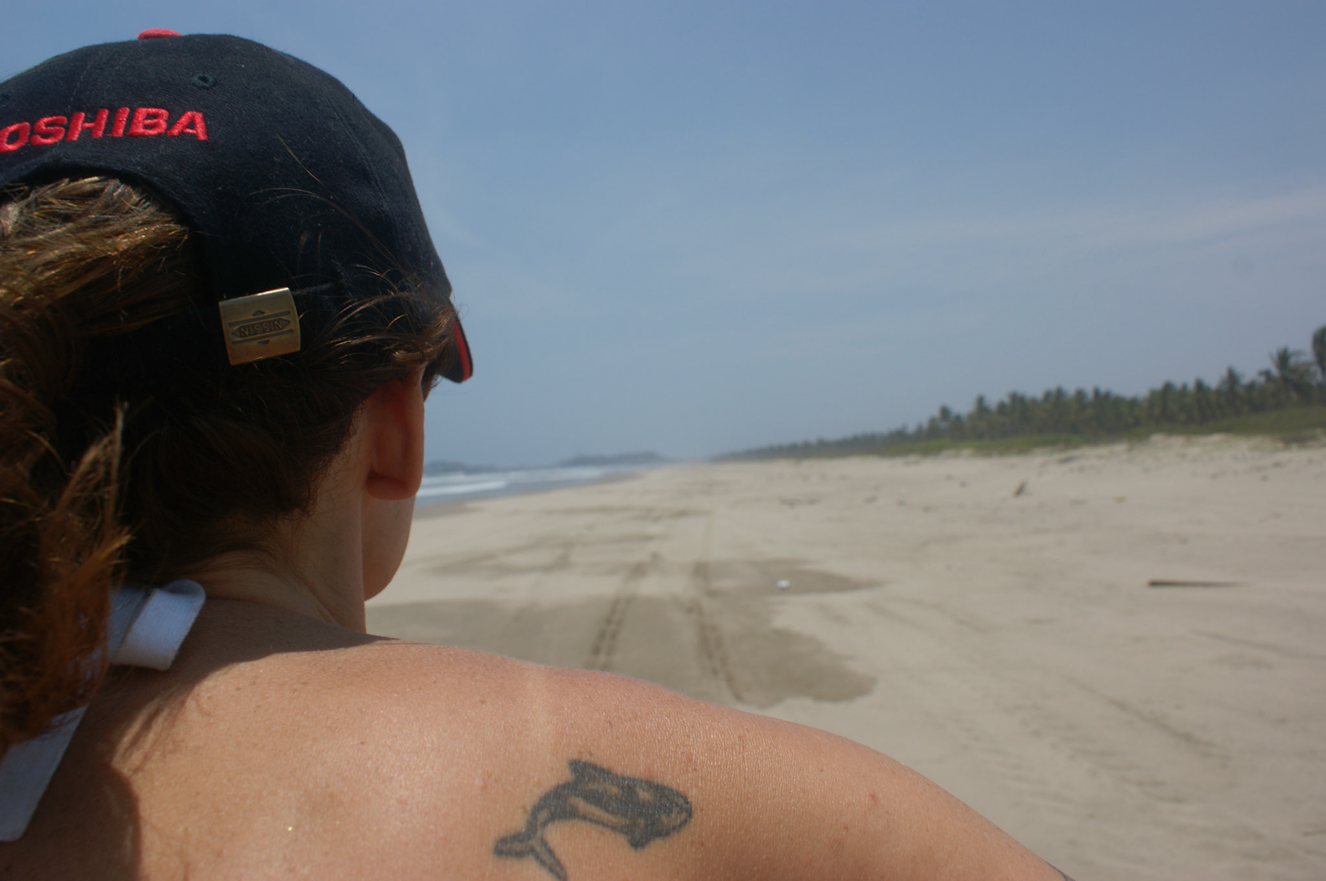 SONY DSC