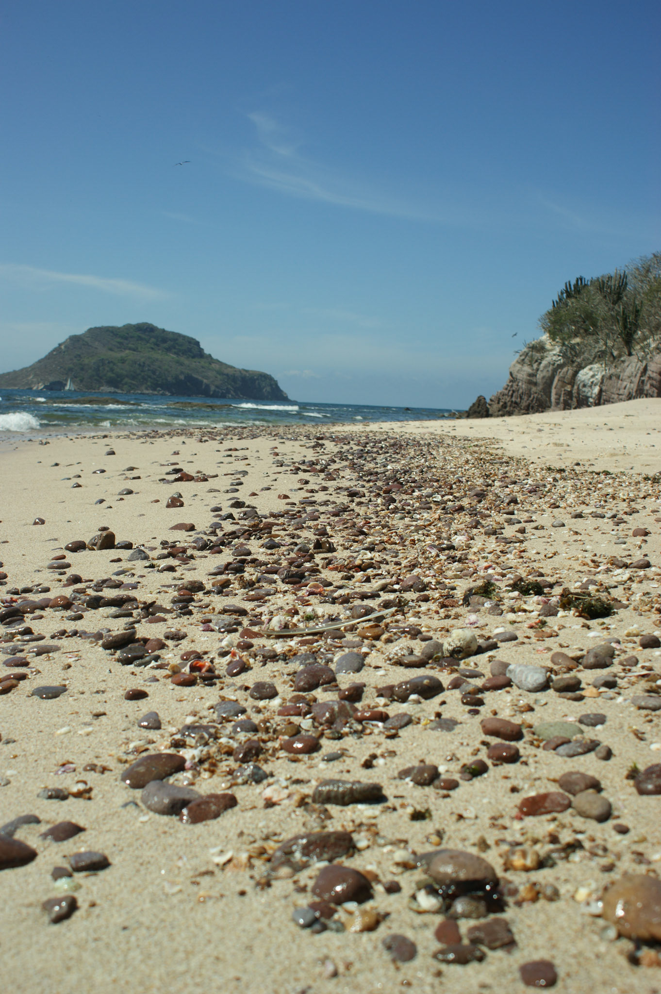 SONY DSC