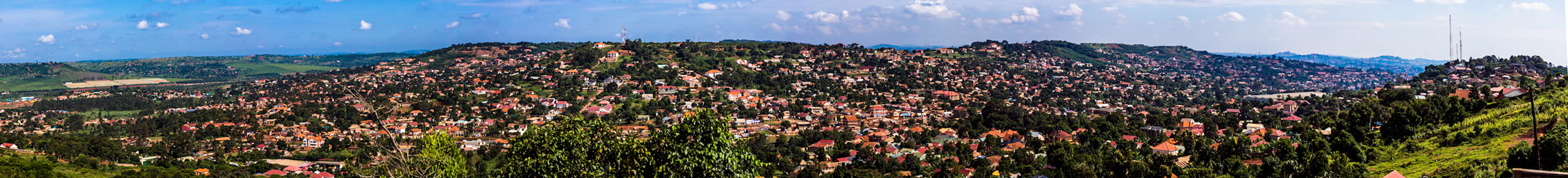 Panoramic view