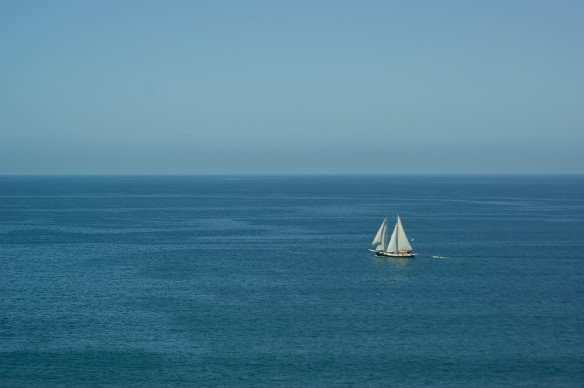 SONY DSC
