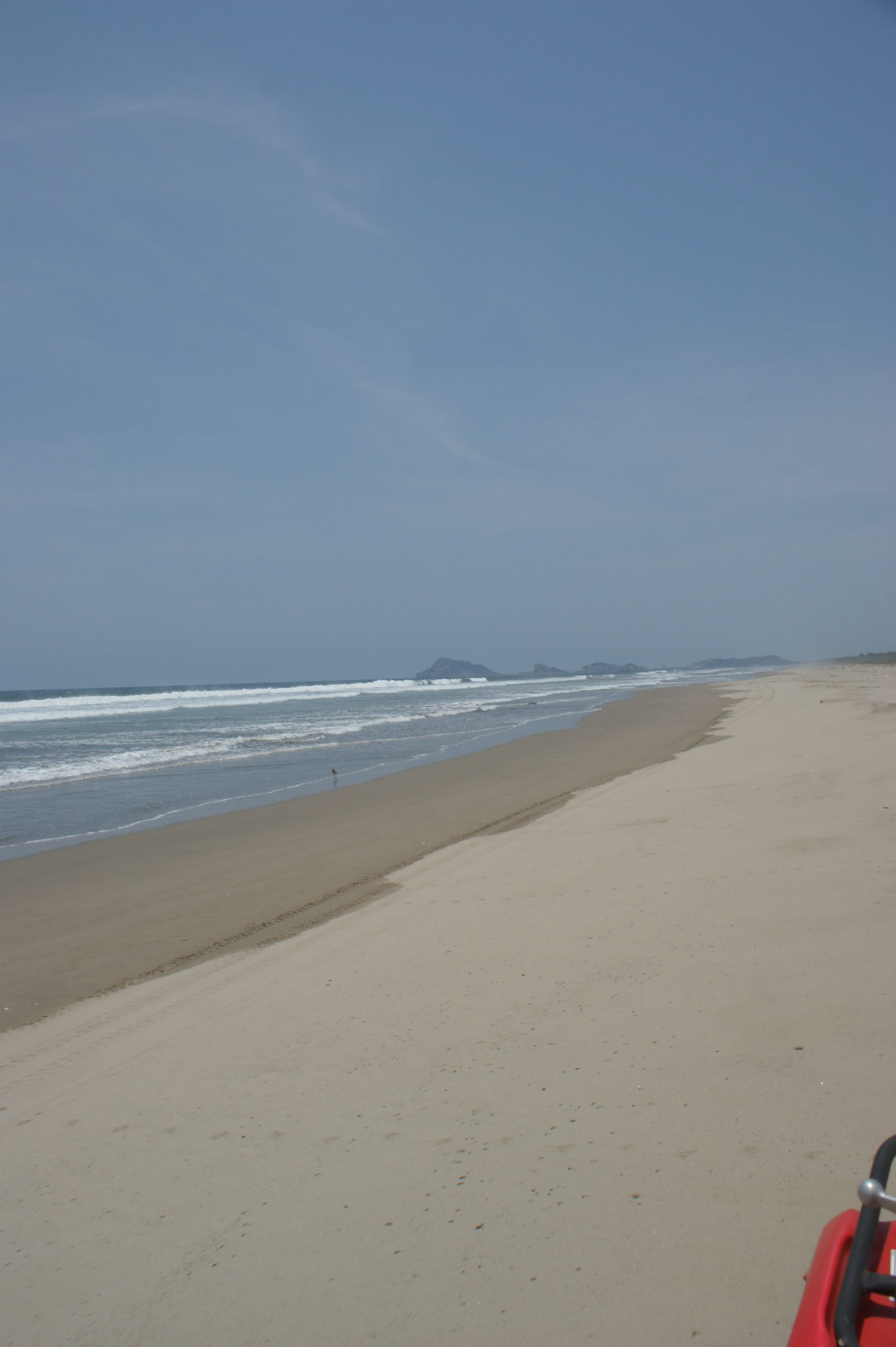 SONY DSC
