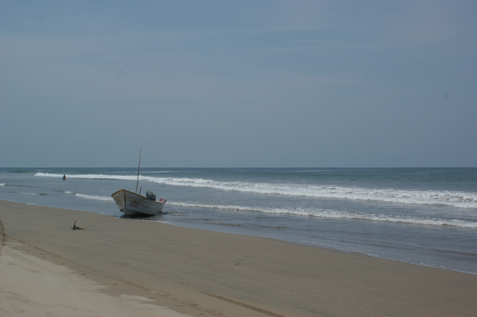 SONY DSC