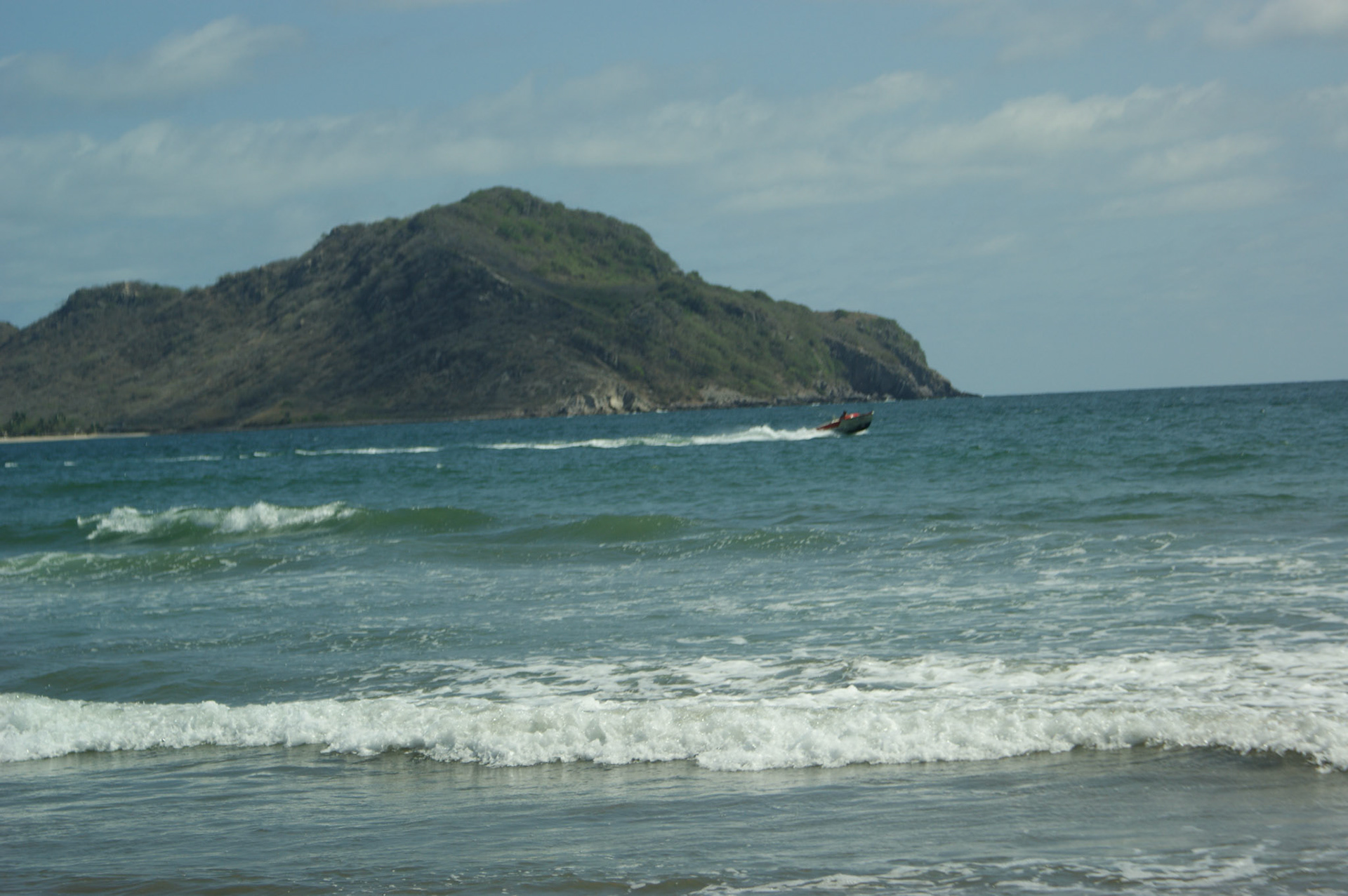 SONY DSC
