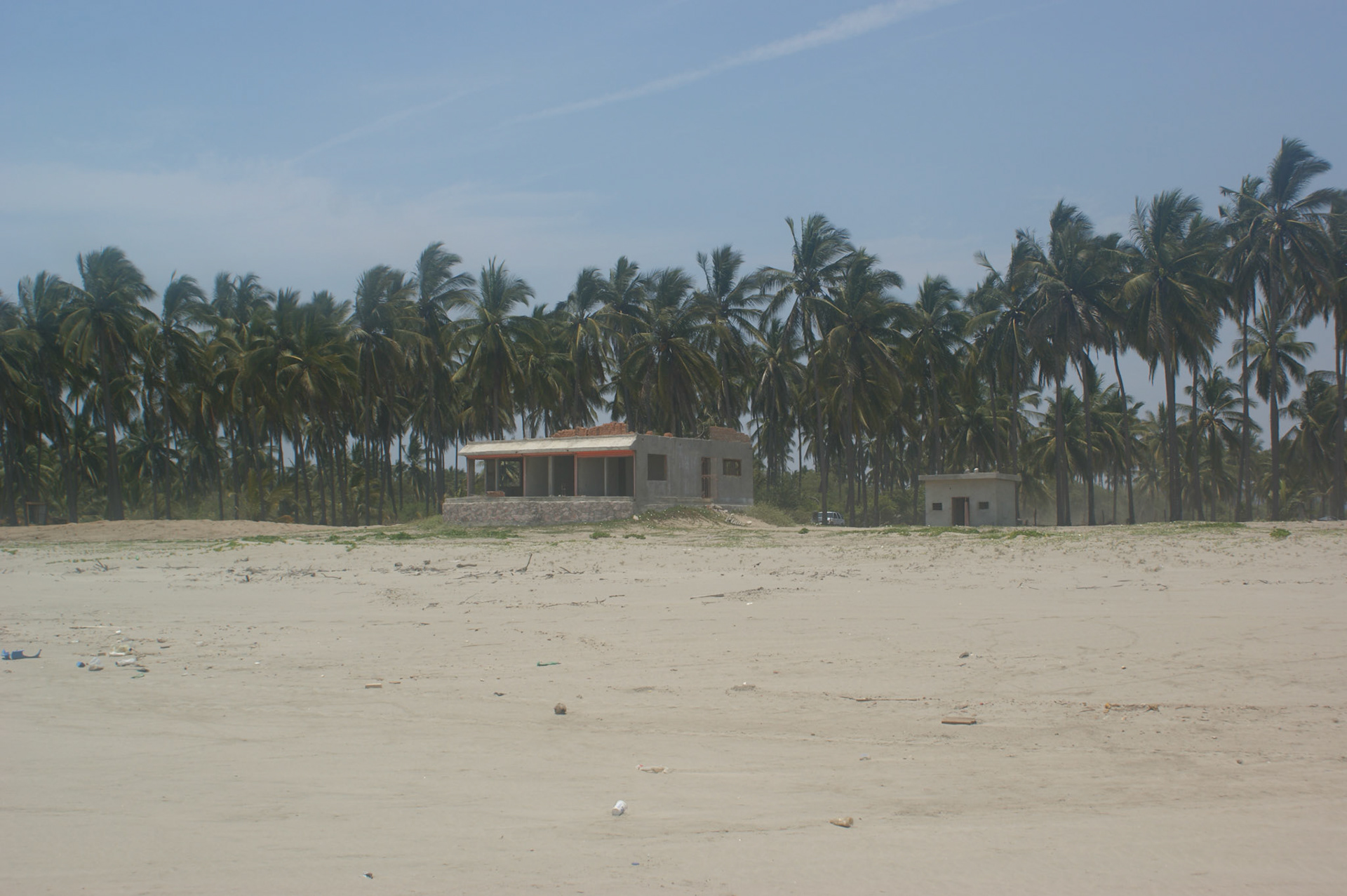 SONY DSC