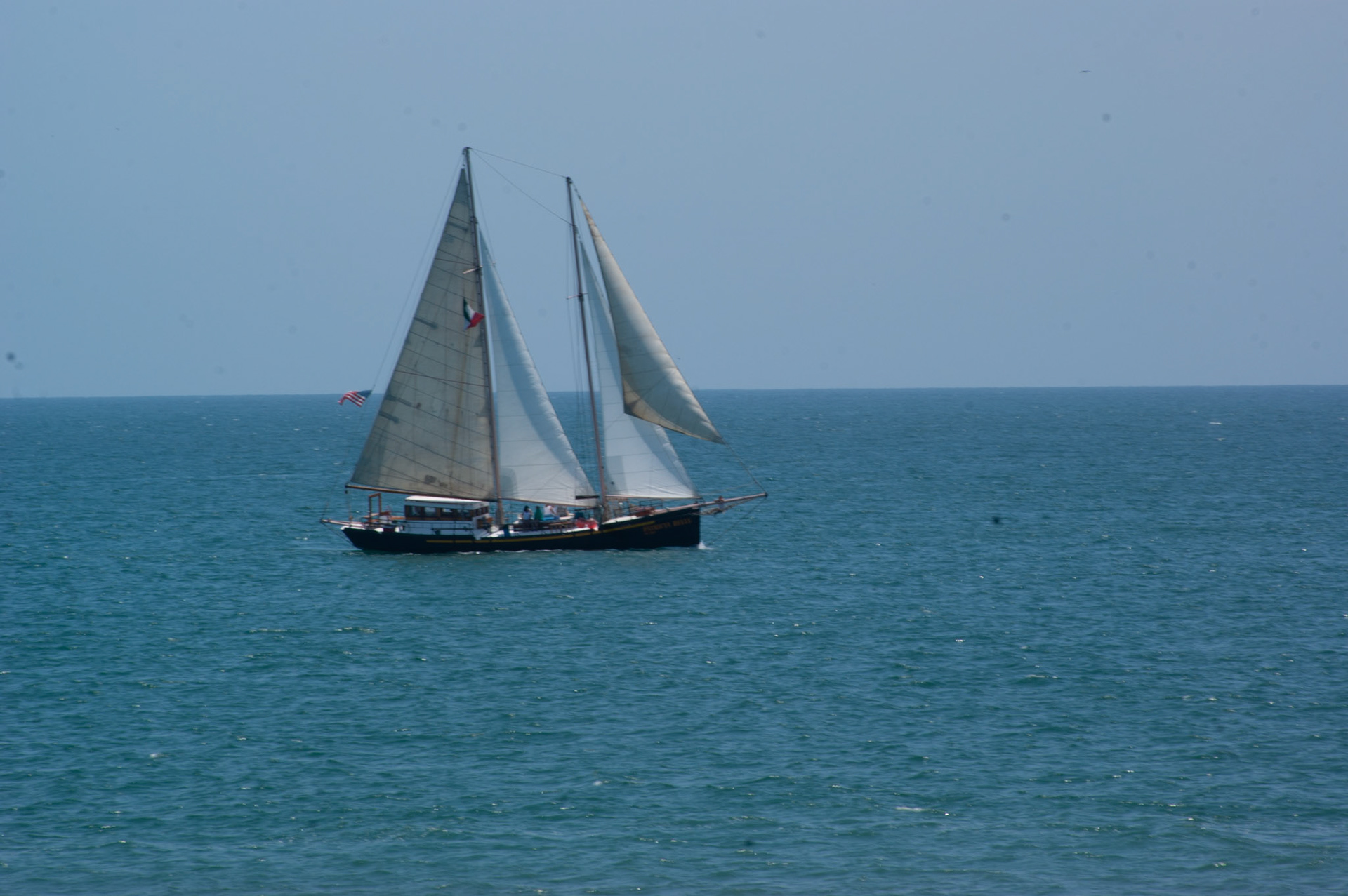 SONY DSC