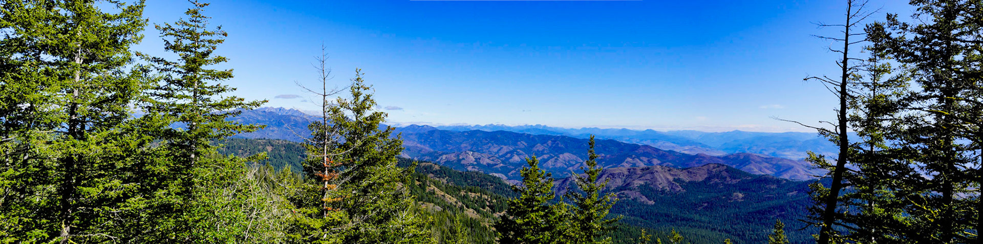 Panoramic view