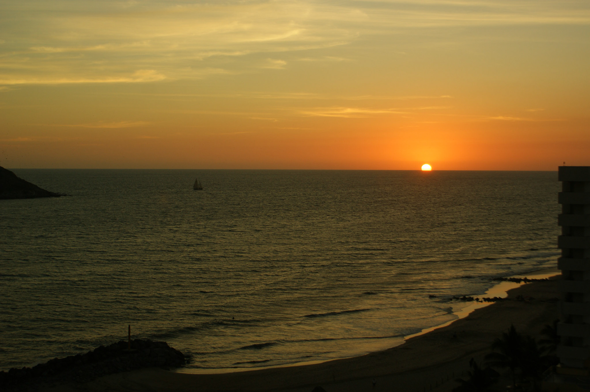 SONY DSC