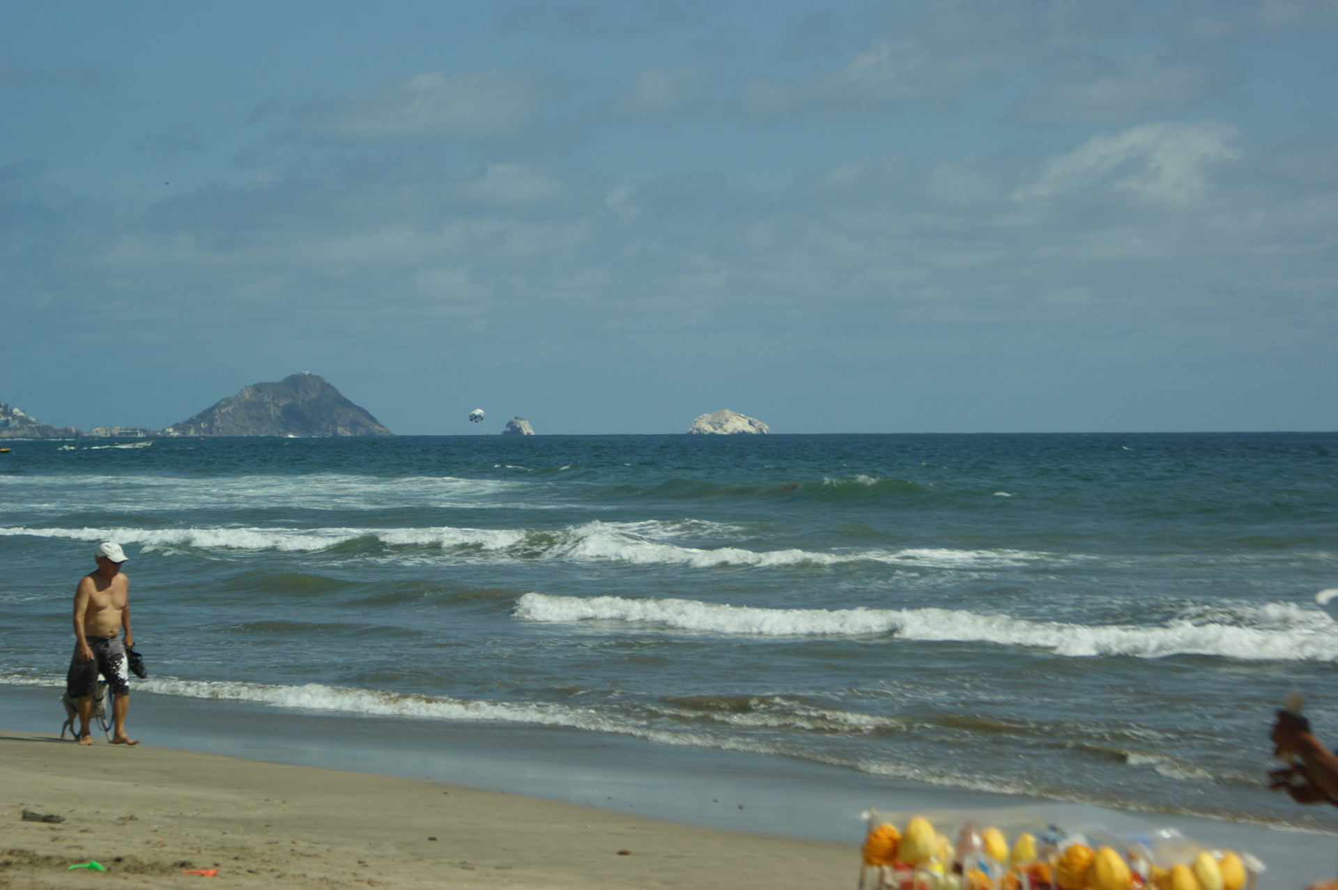SONY DSC