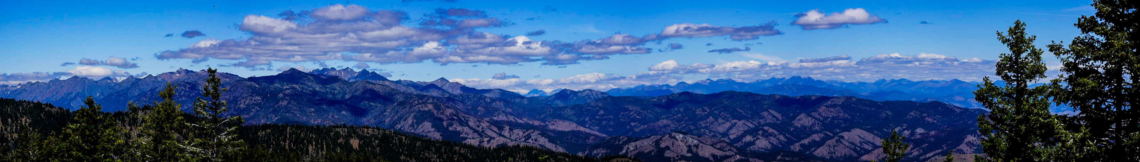 Panoramic view