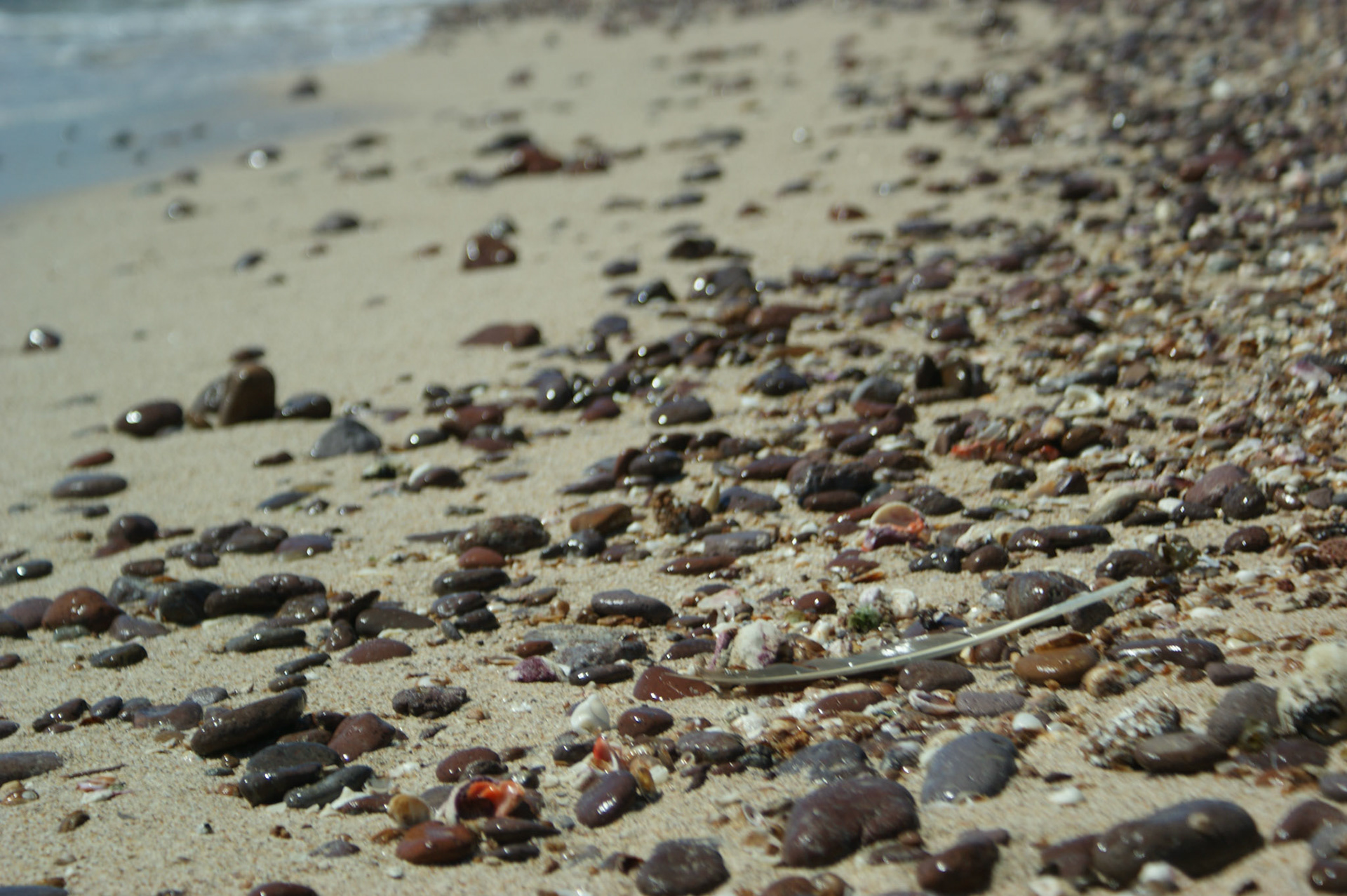 SONY DSC