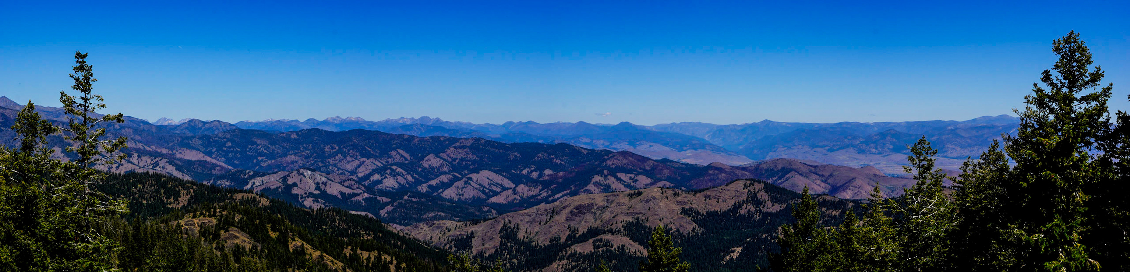 Panoramic view