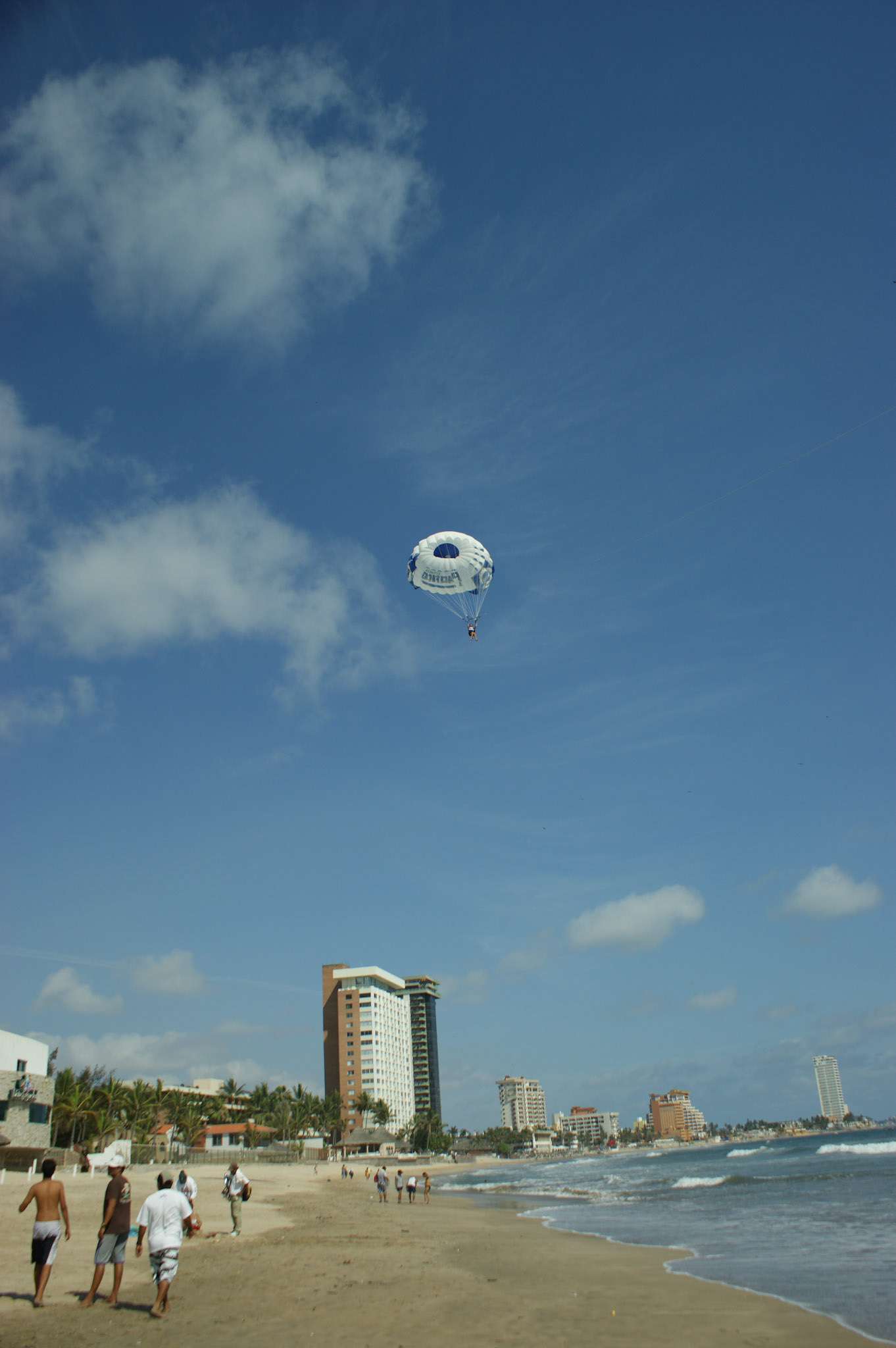 SONY DSC