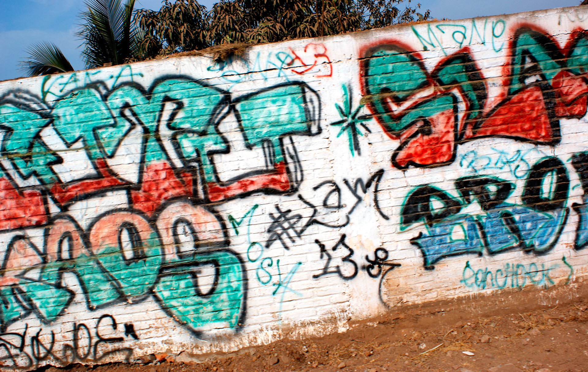 SONY DSC