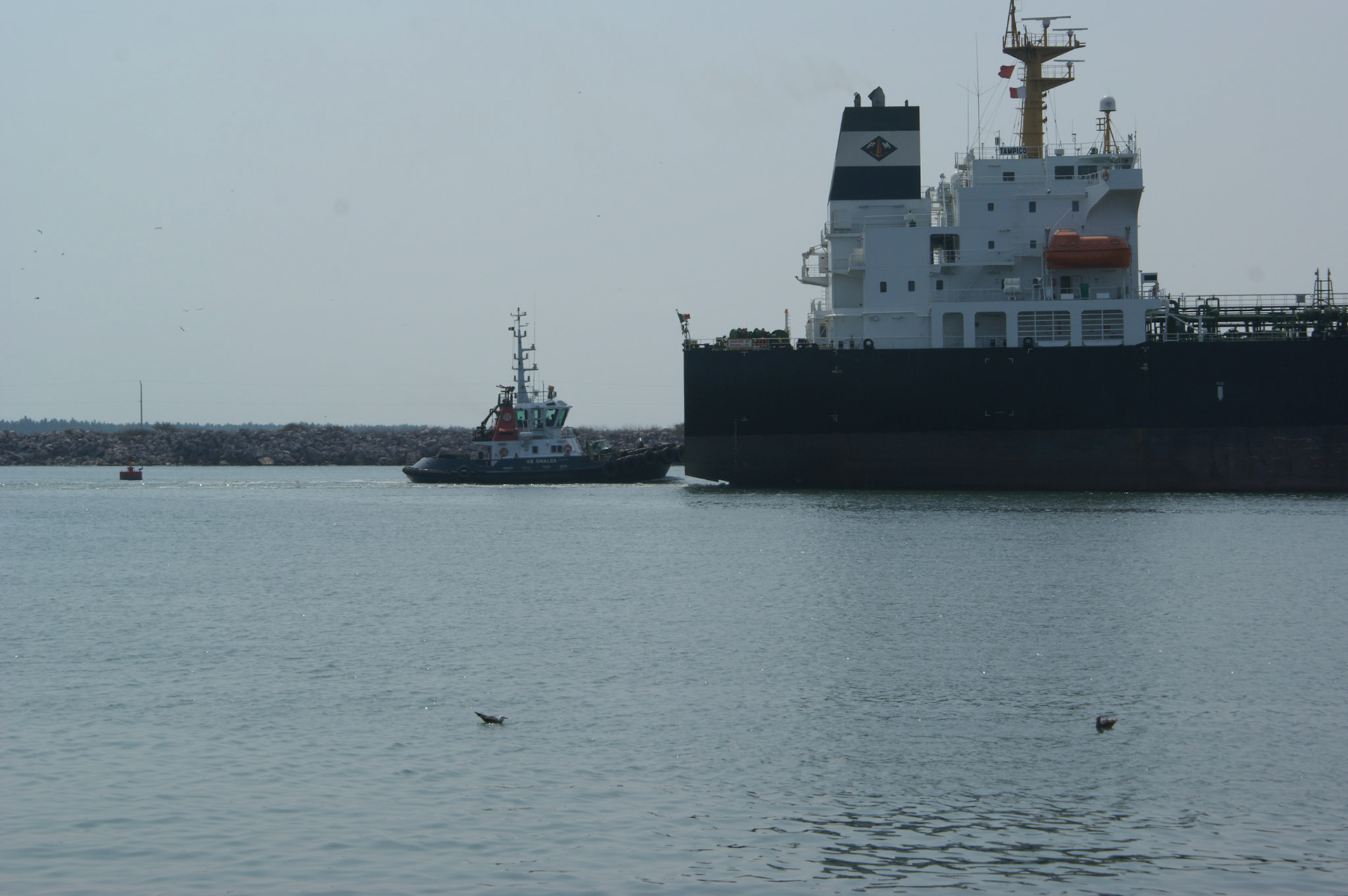 SONY DSC