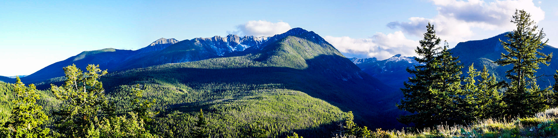 Panoramic view