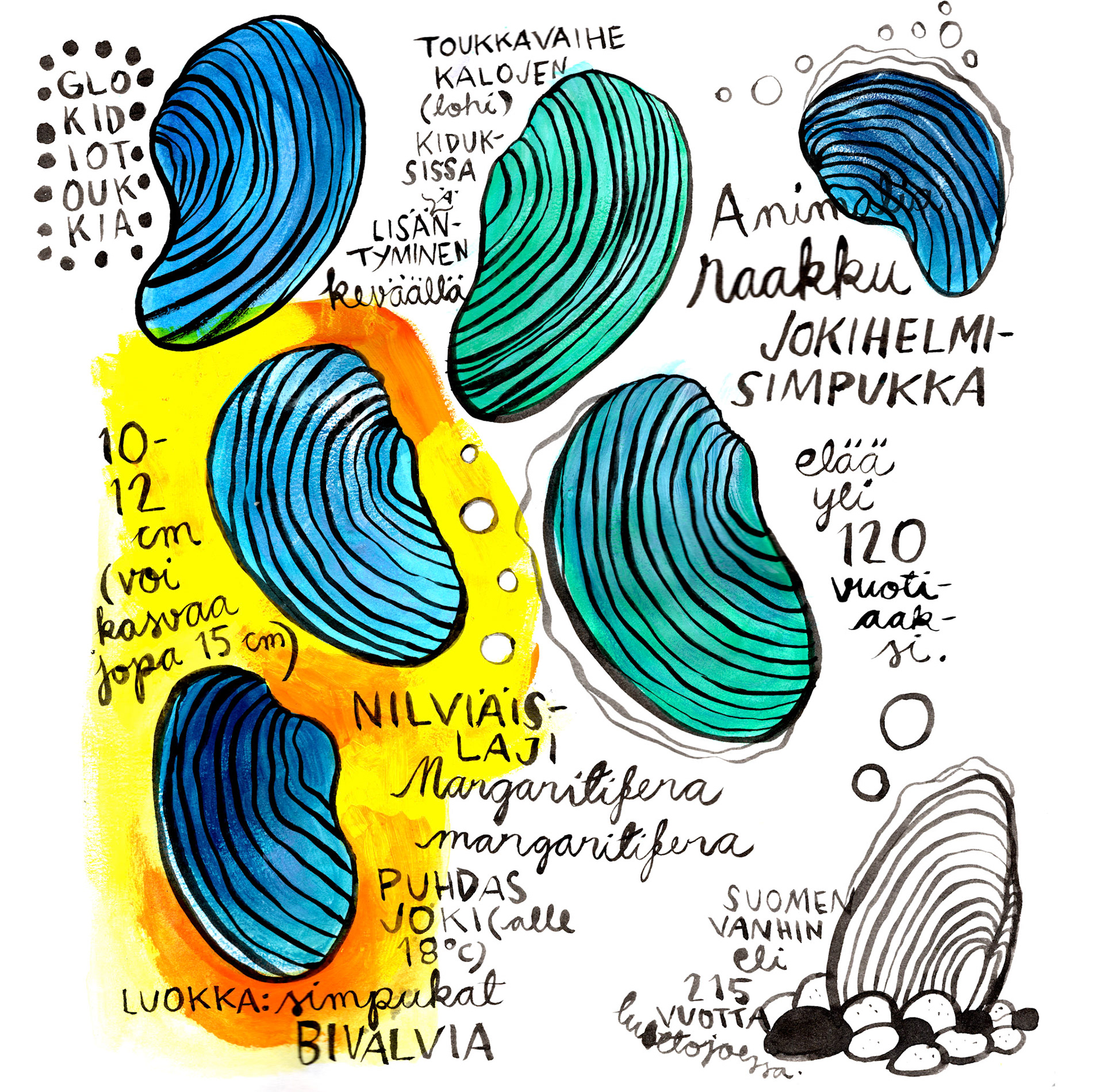 Sketchbook illustration, 2024