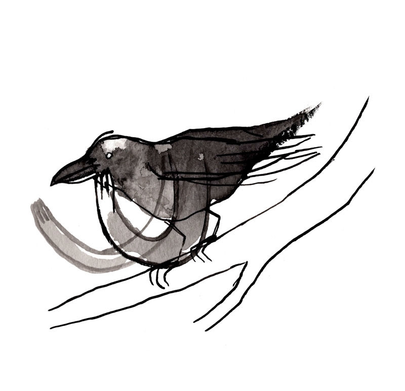 Sketch for a ongoing project, 2024
