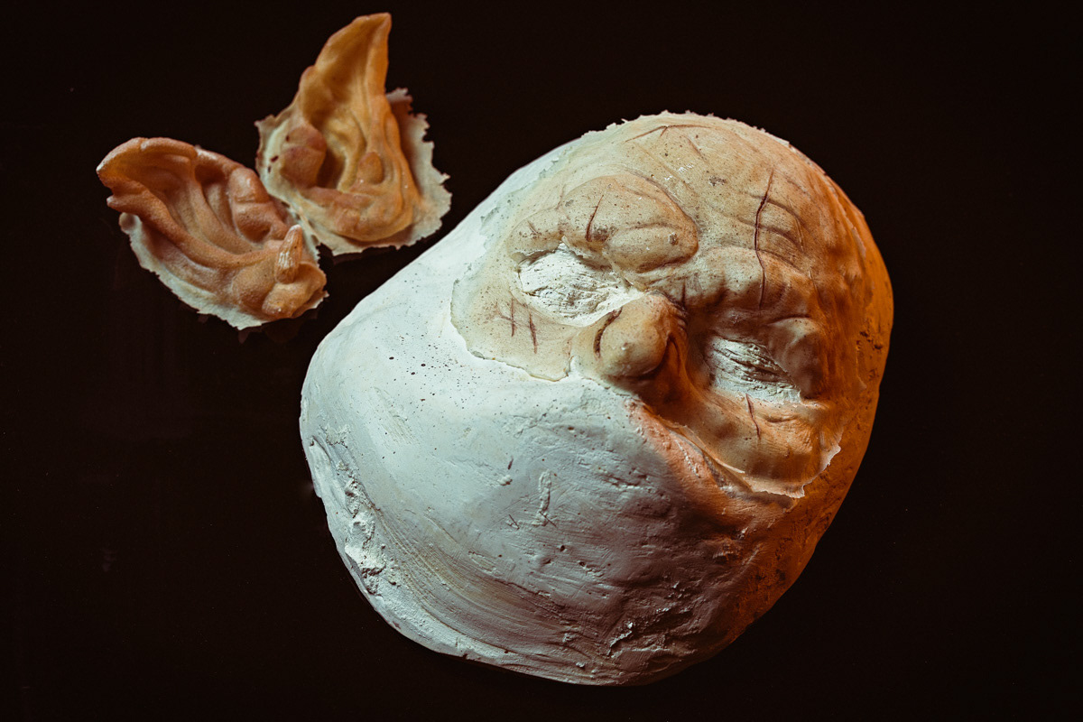 Prothèses réalisées par Romain Houles