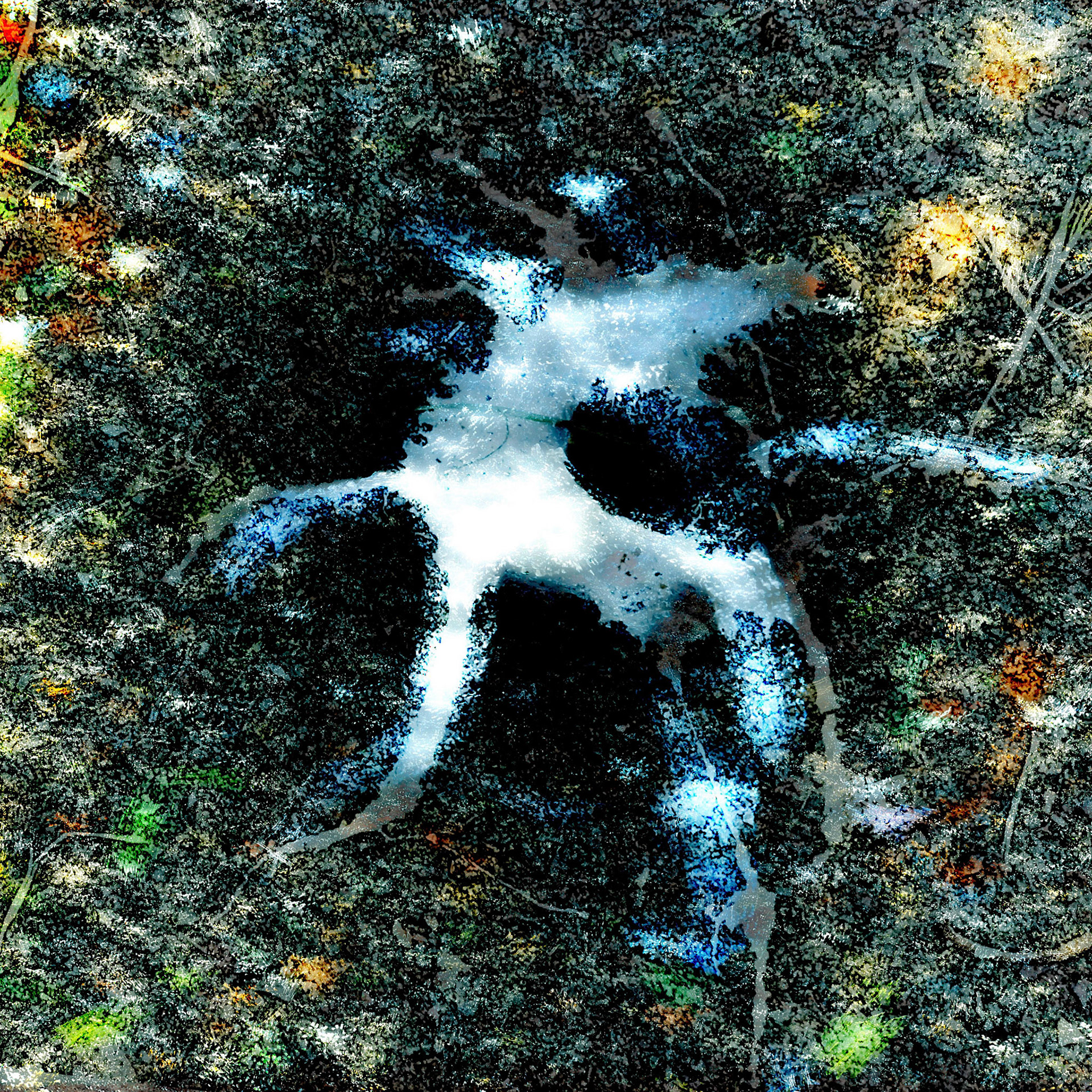 Birdshit Cave Painting