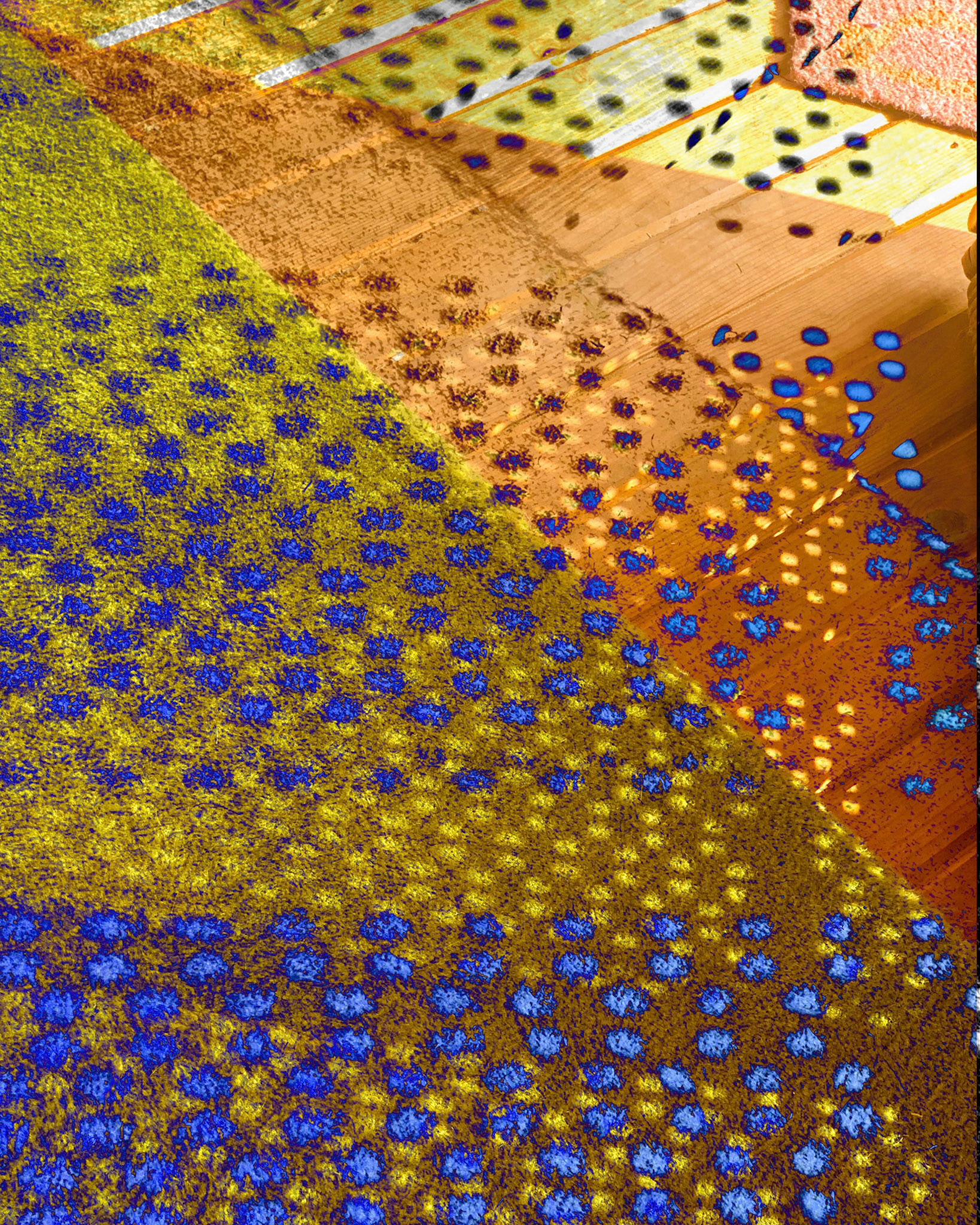 Contact Tracing