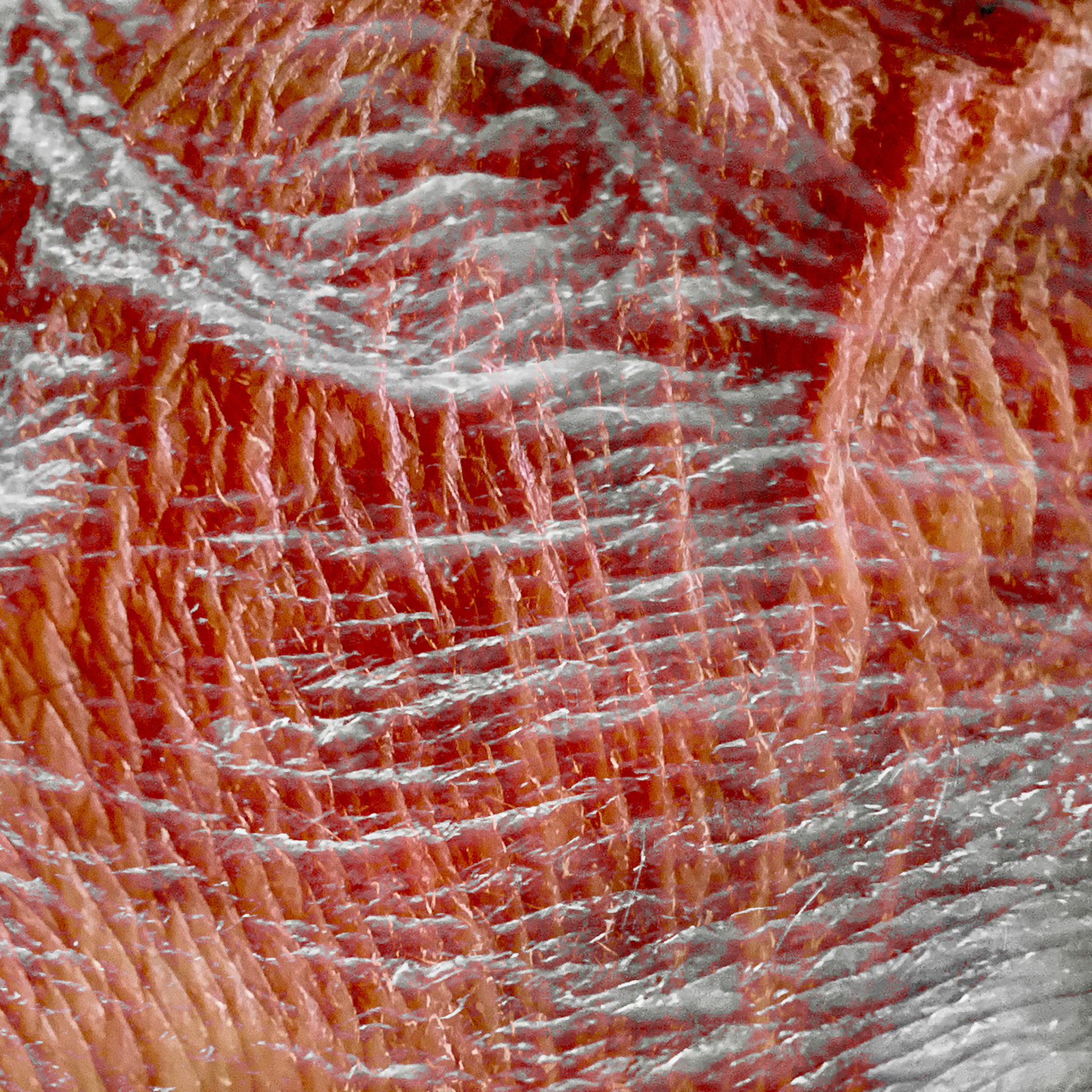 Covid Hands