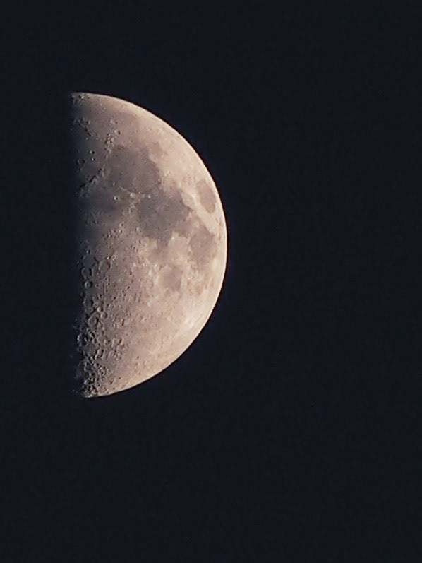 First Quarter Moon