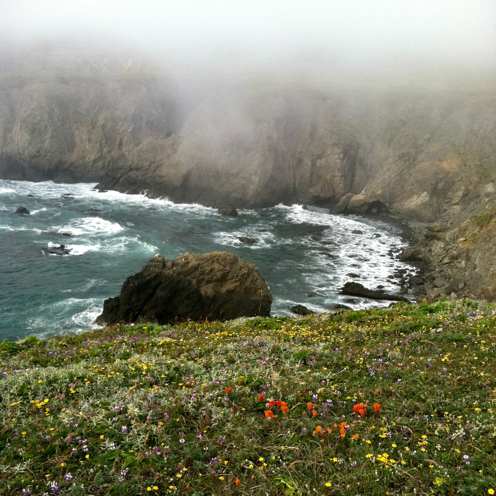 Navarro Point