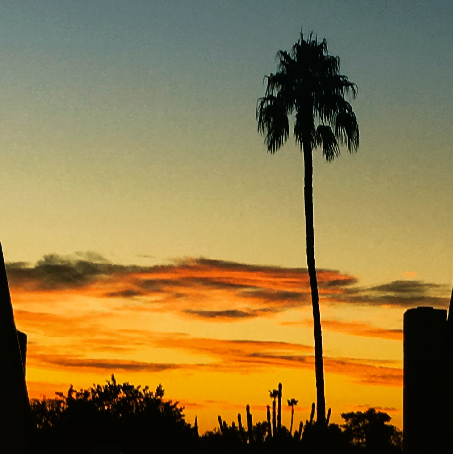 Sunset at Square One Ranch