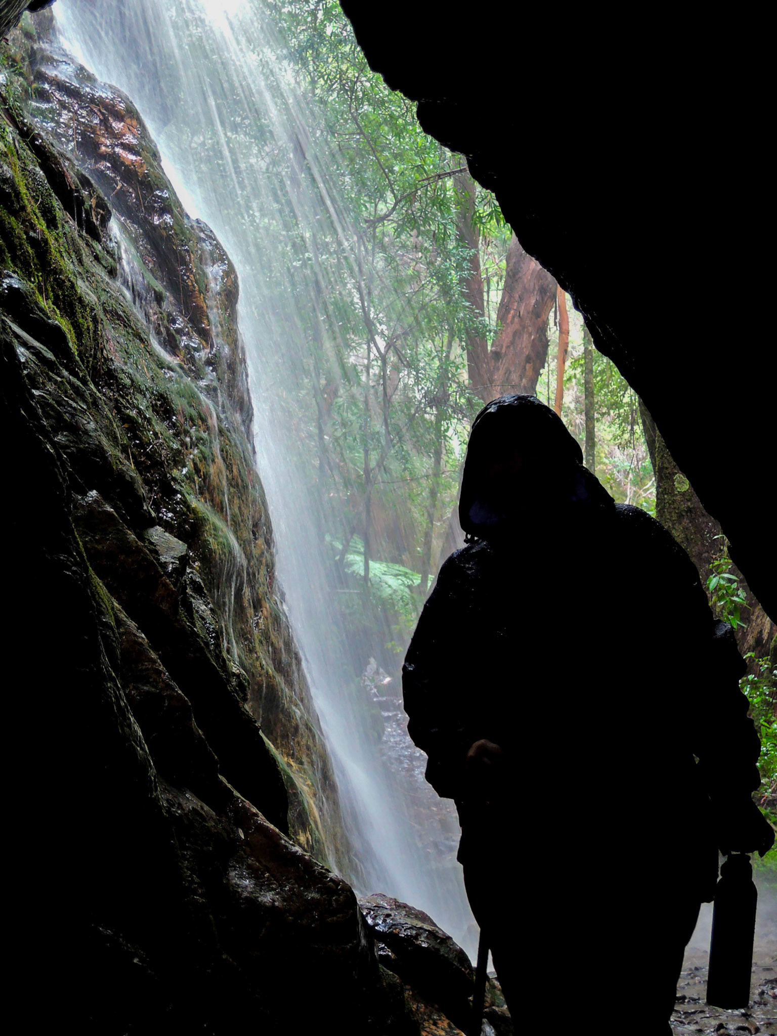 Twin Falls Circuit, Springbrook QLD