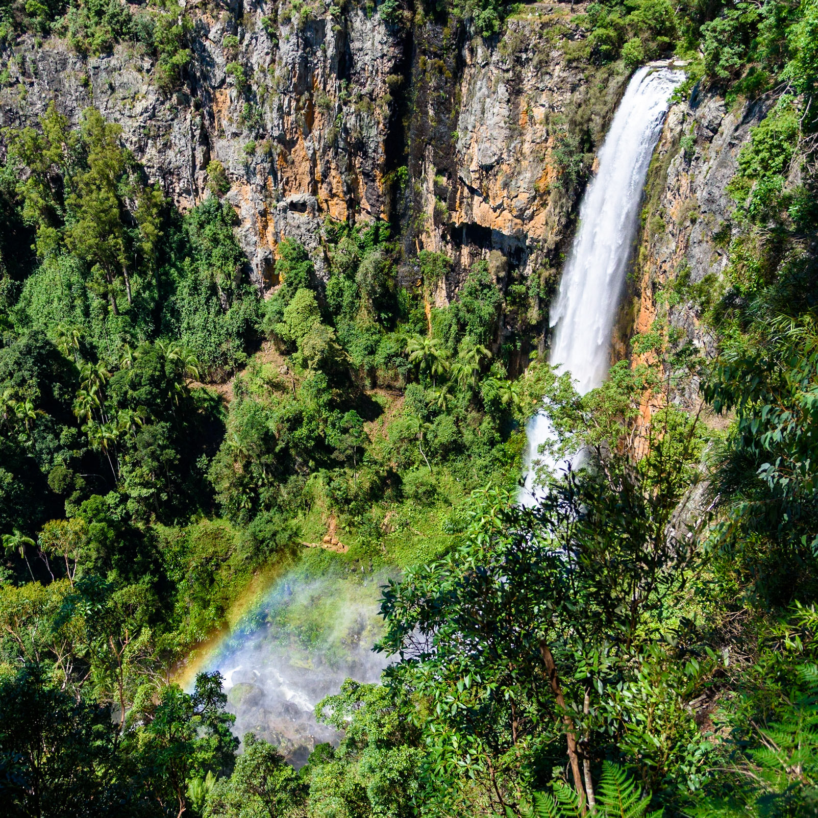 Purlingbrook Falls, Springbrook QLD
