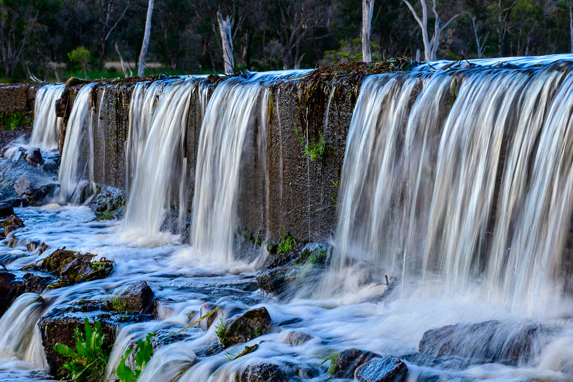 Falls over the Weir