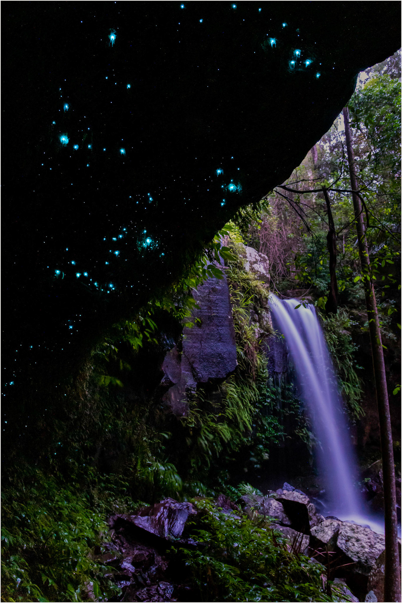 Glowing Bright Before Dawn