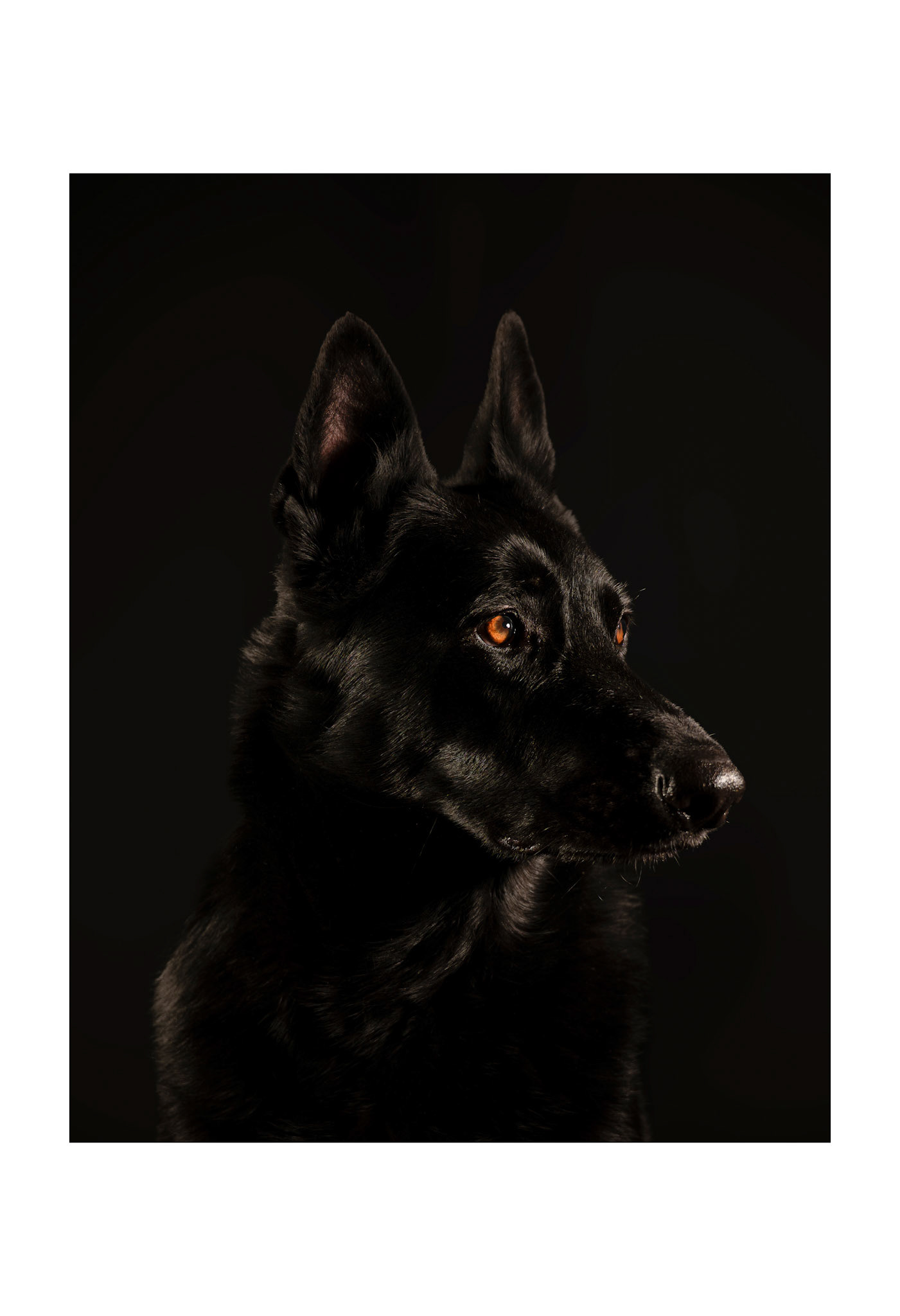 "Raven" Recipient of the "Otten" Award 2025 SWIC Student  Exhibition.