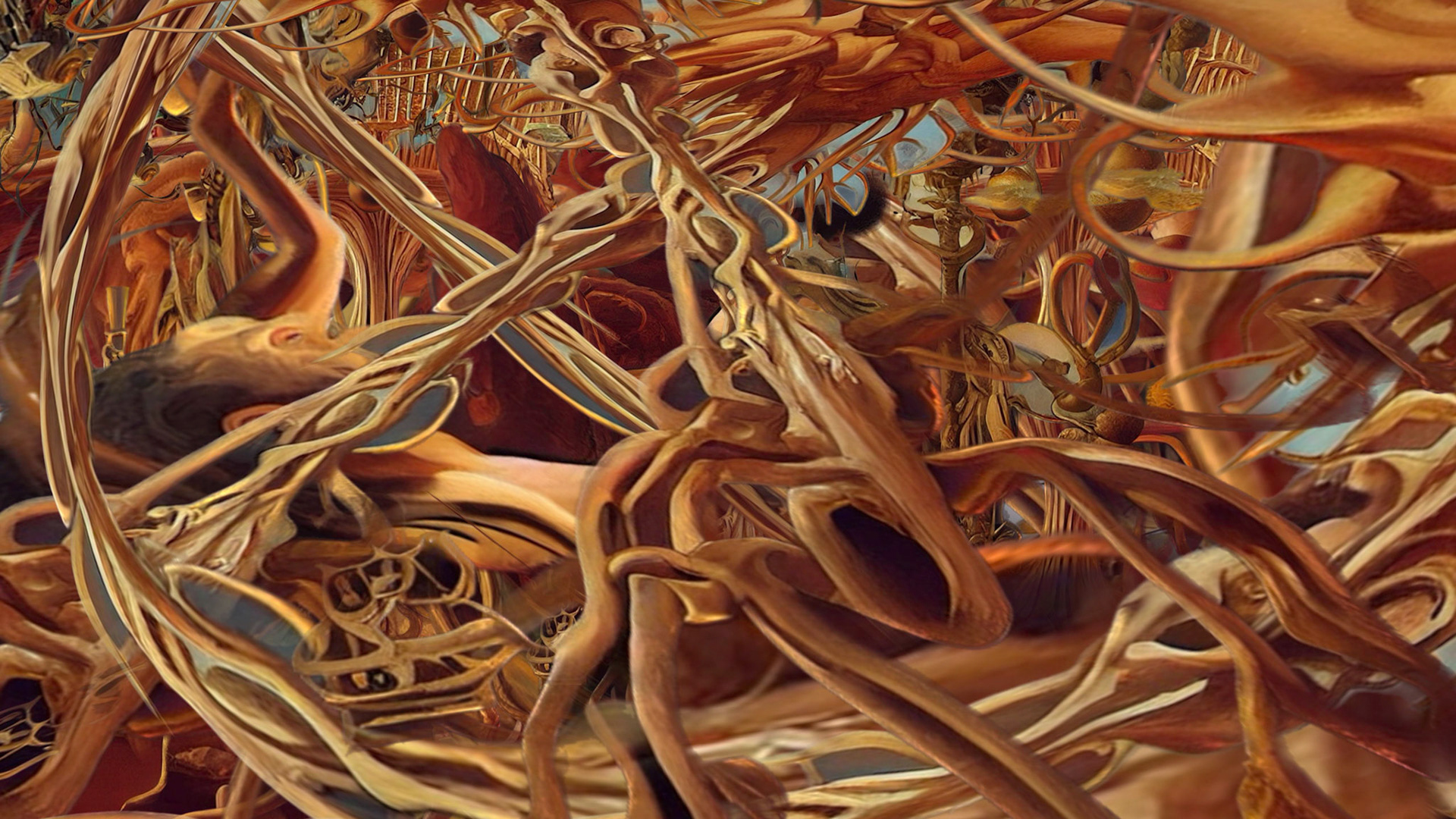Roots Renaissance Series