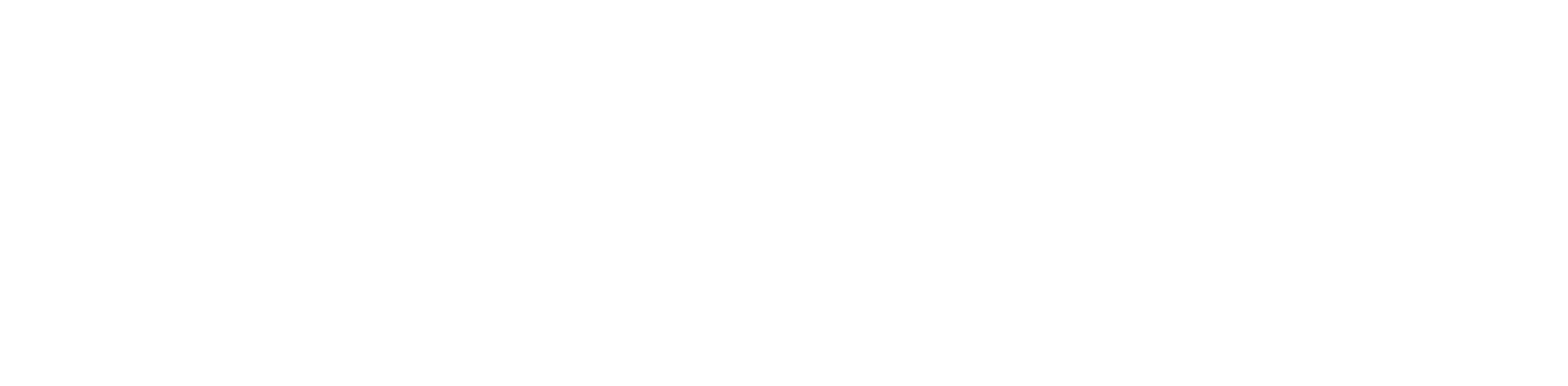 branding studio. khidirova