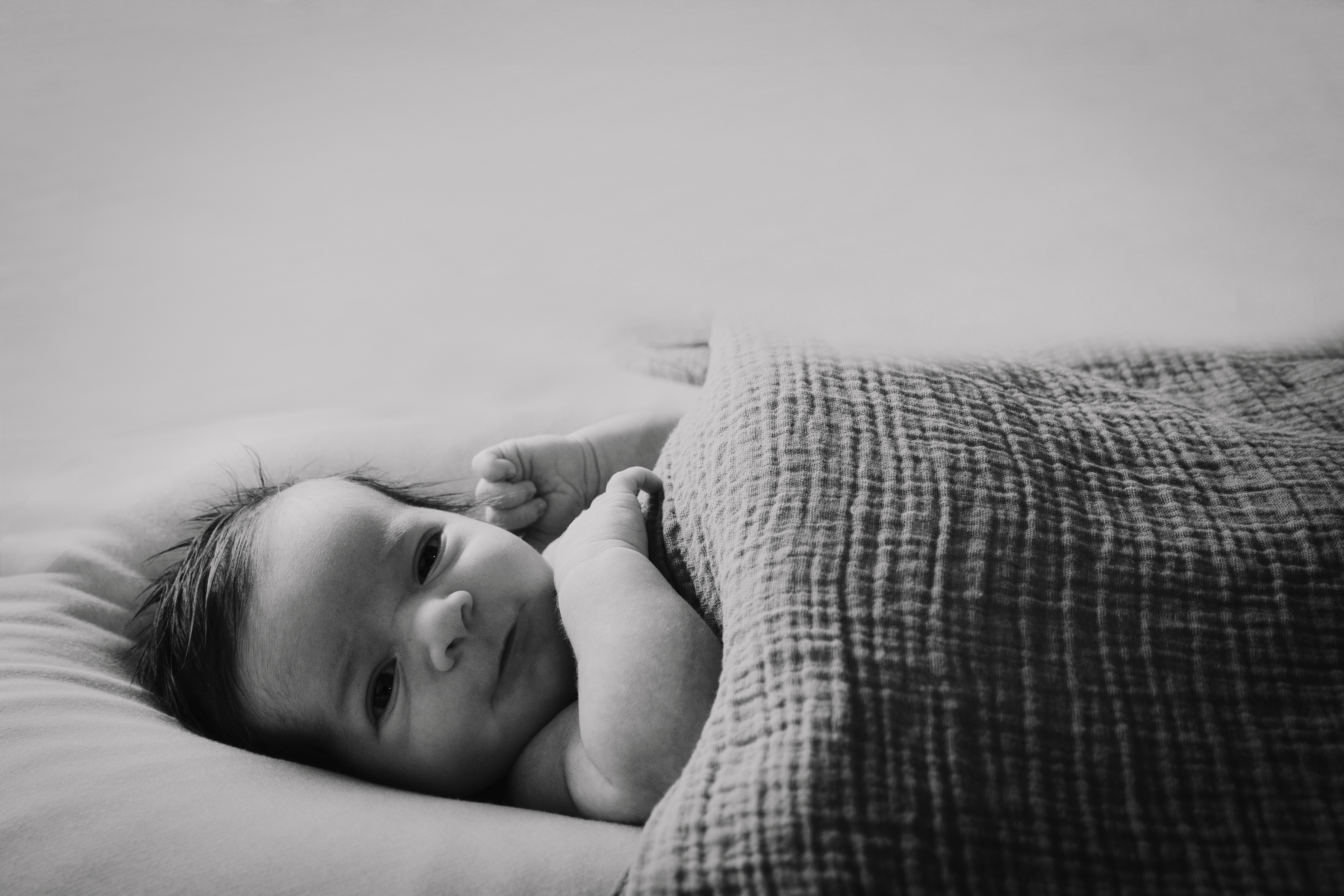 Sugar Land , Texas Newborn Photography Smiles and Shutter Photography Newborn Photographer