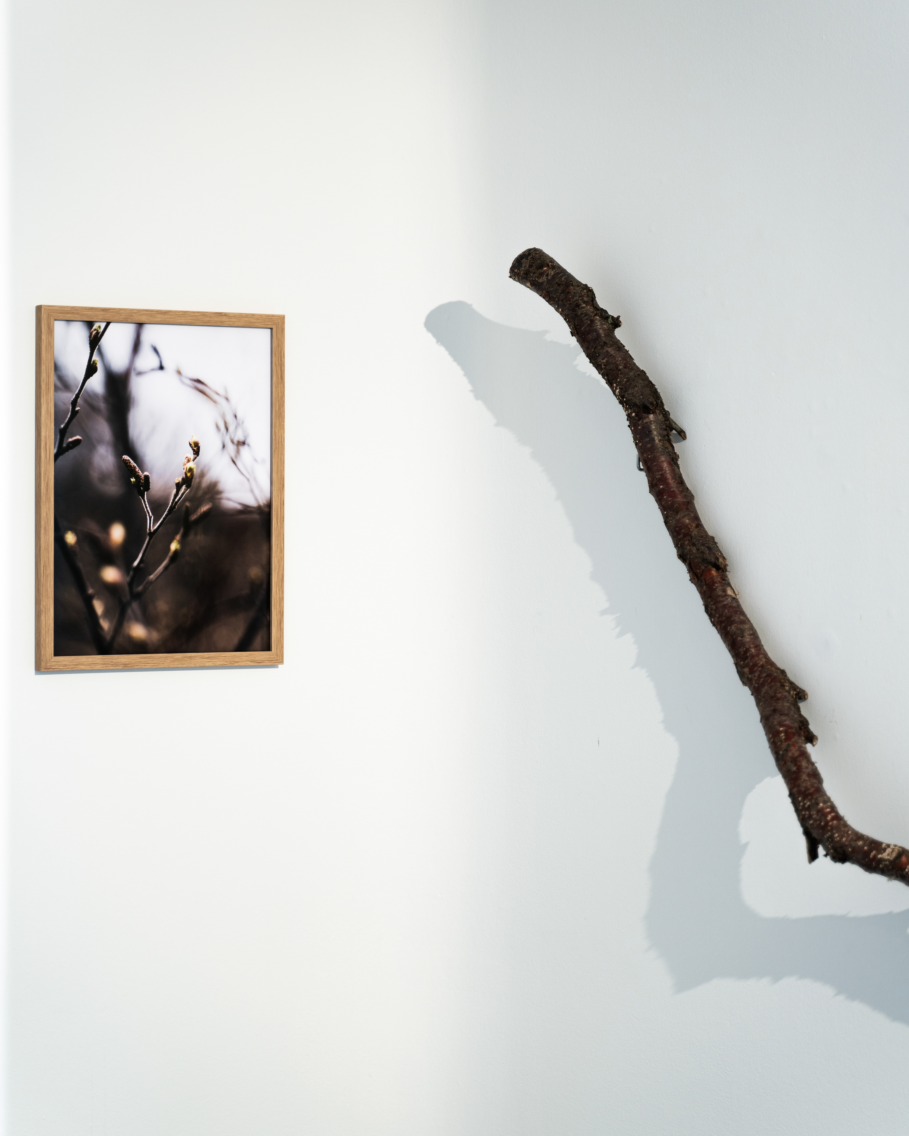 2022 - Museum of Photography