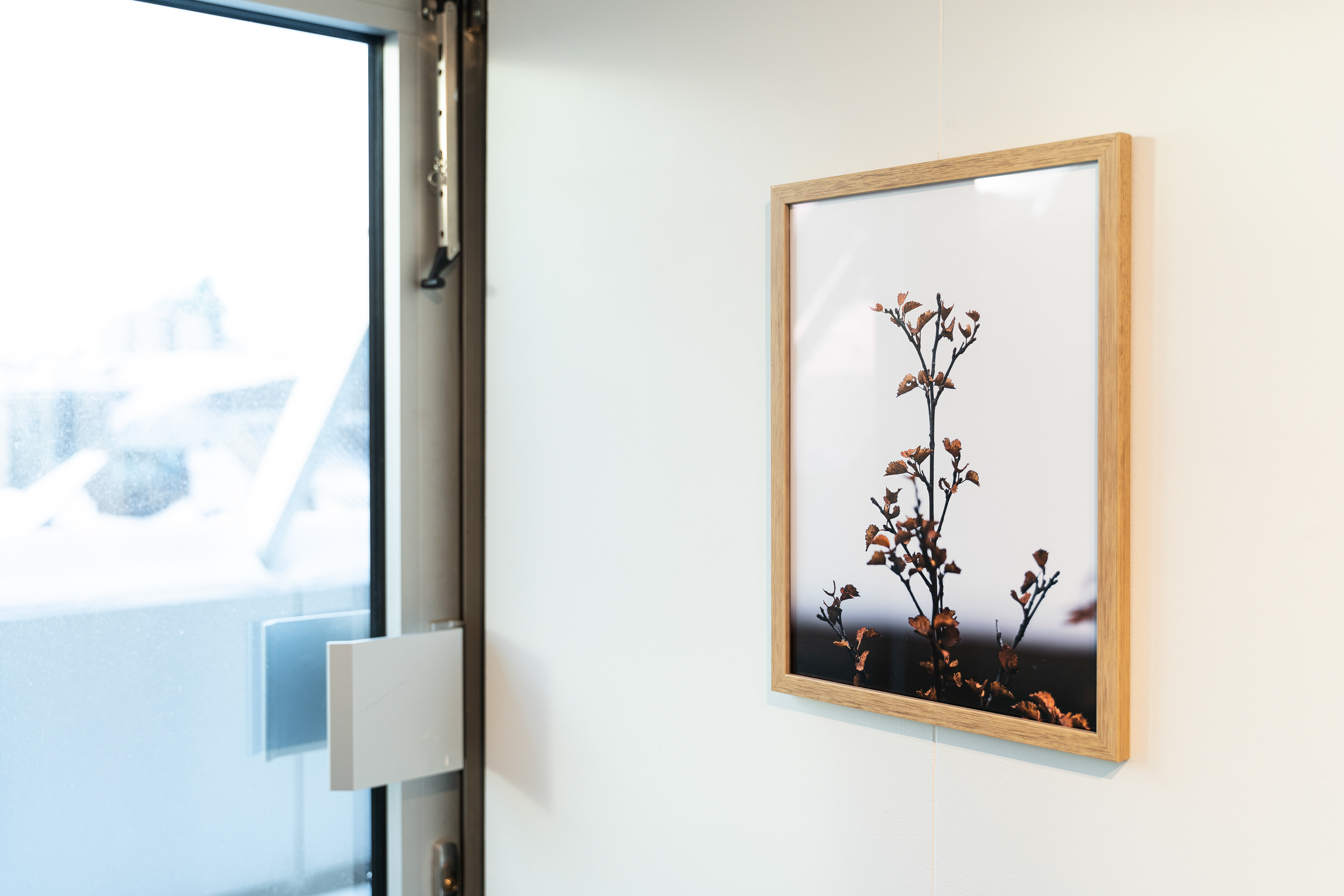 2022 - Museum of Photography