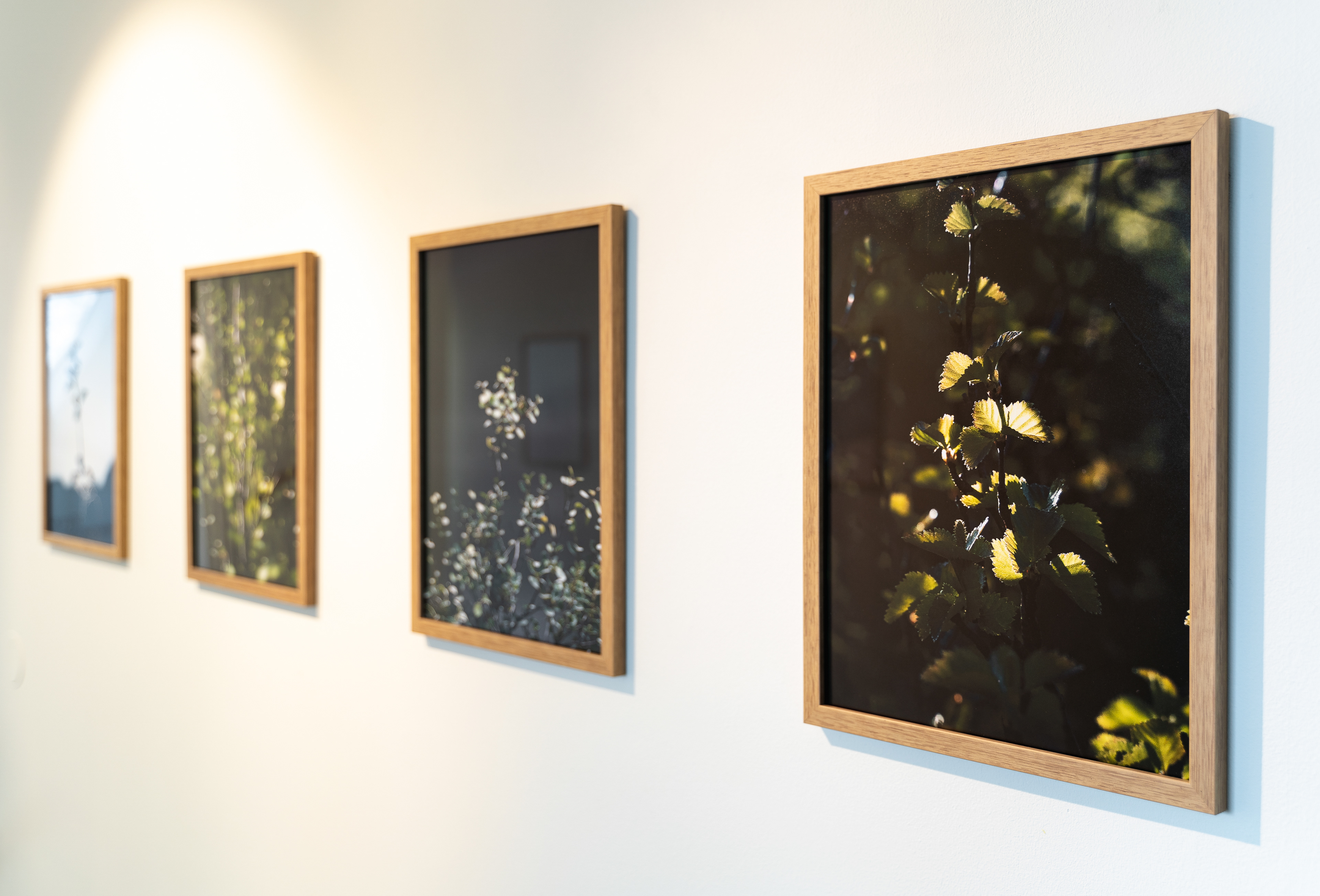 2022 - Museum of Photography