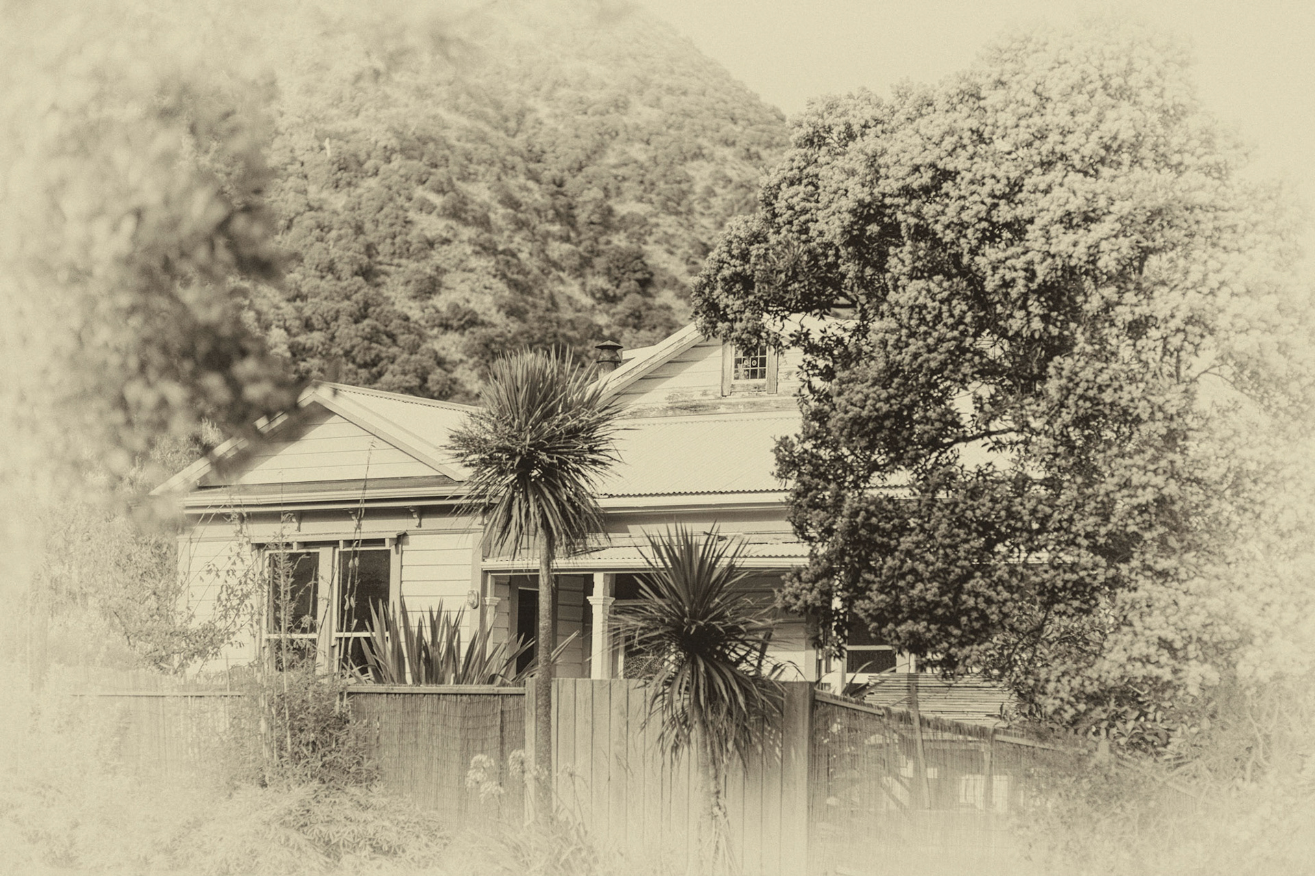 #21: The essence of Paekakariki