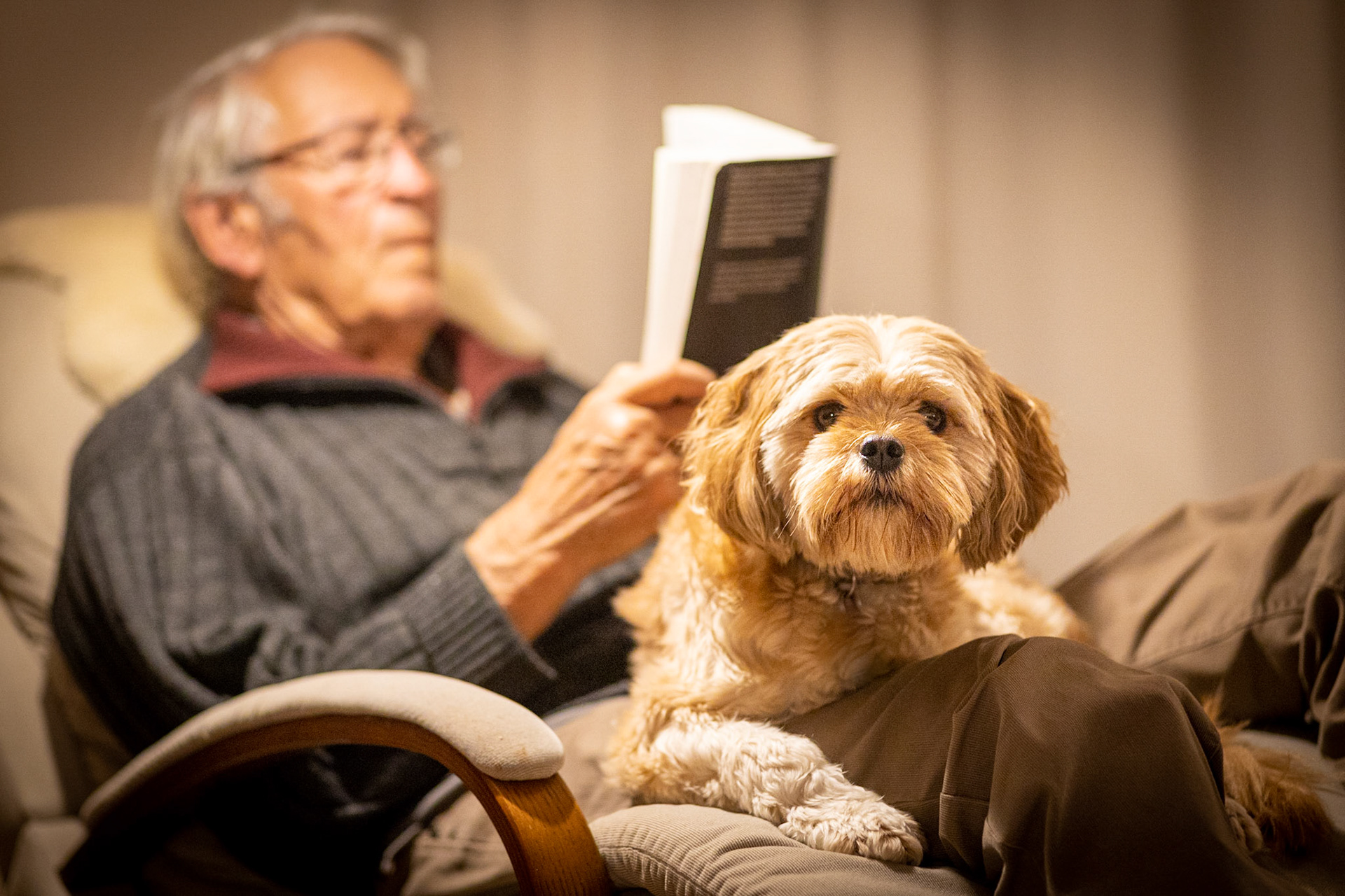 #7: A warm bubble: my father, a retired vet joined our "bubble" for lockdown.
