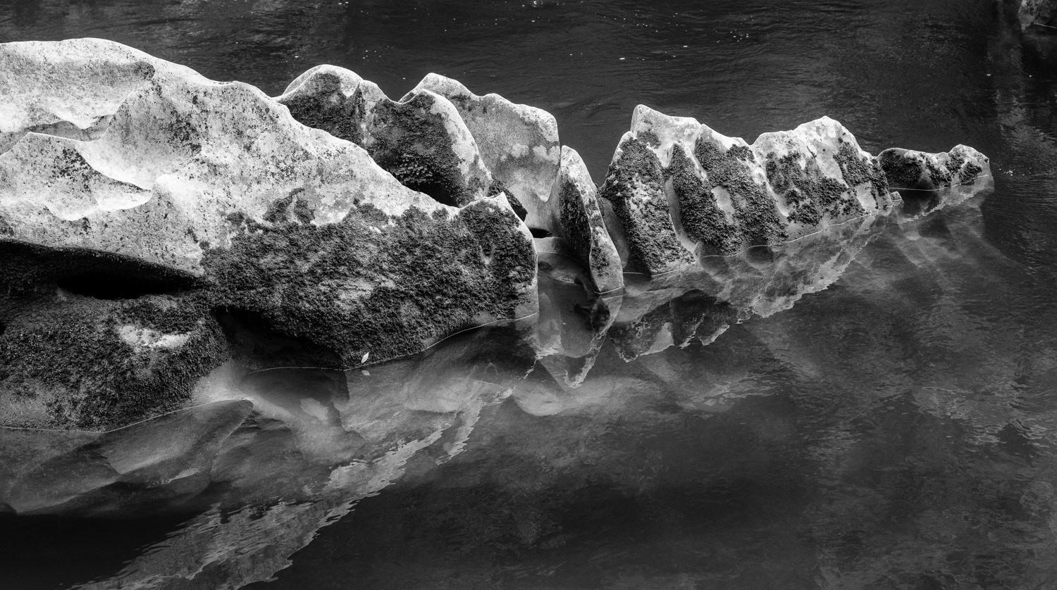 Crocodile in the river?