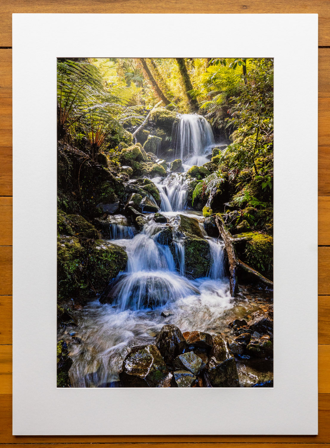 West Coast waterfall. A gentle waterfall on the first day of the Paparoa Track