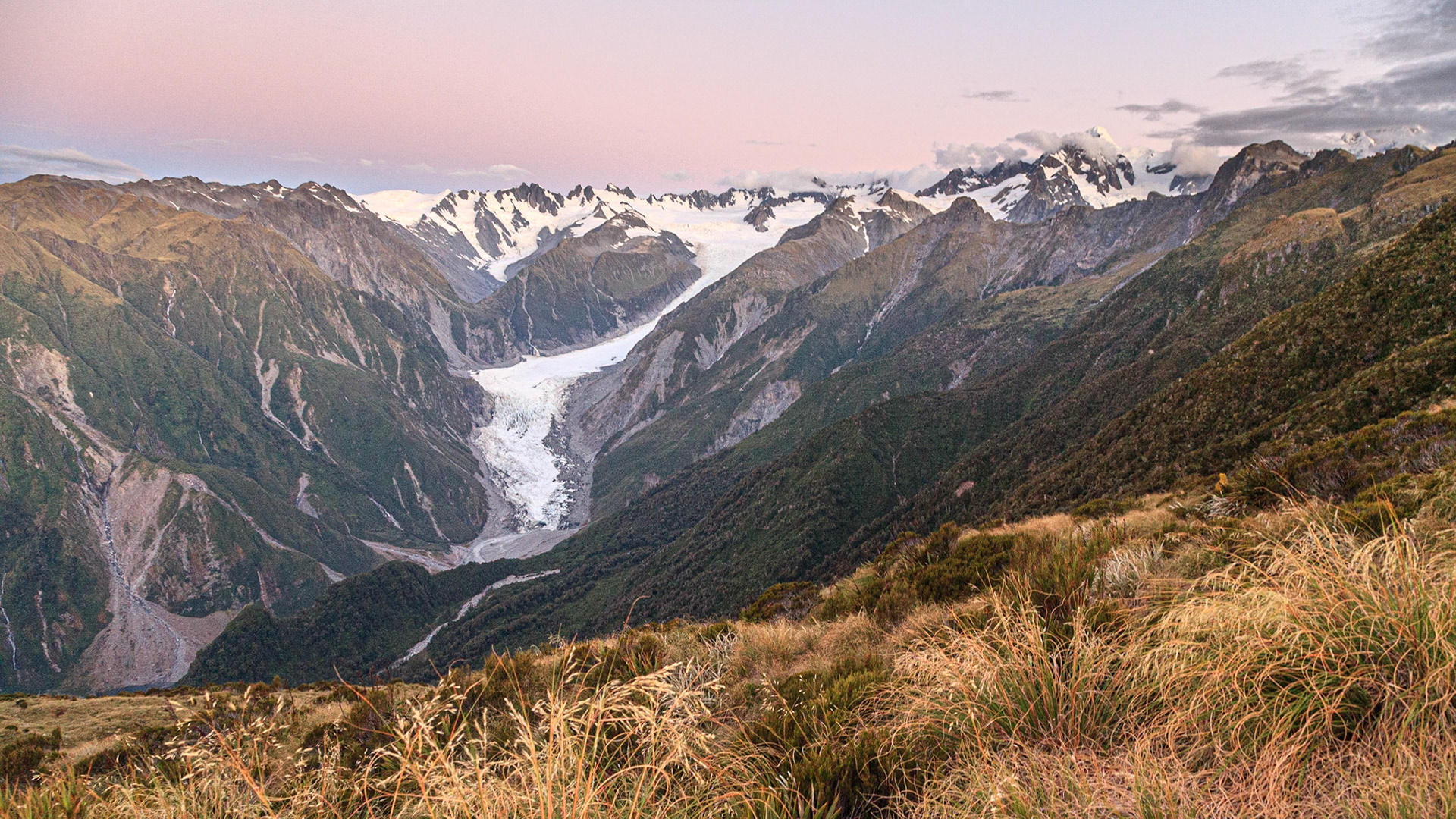 Fox Glacier from Mt Fox, Westland NP