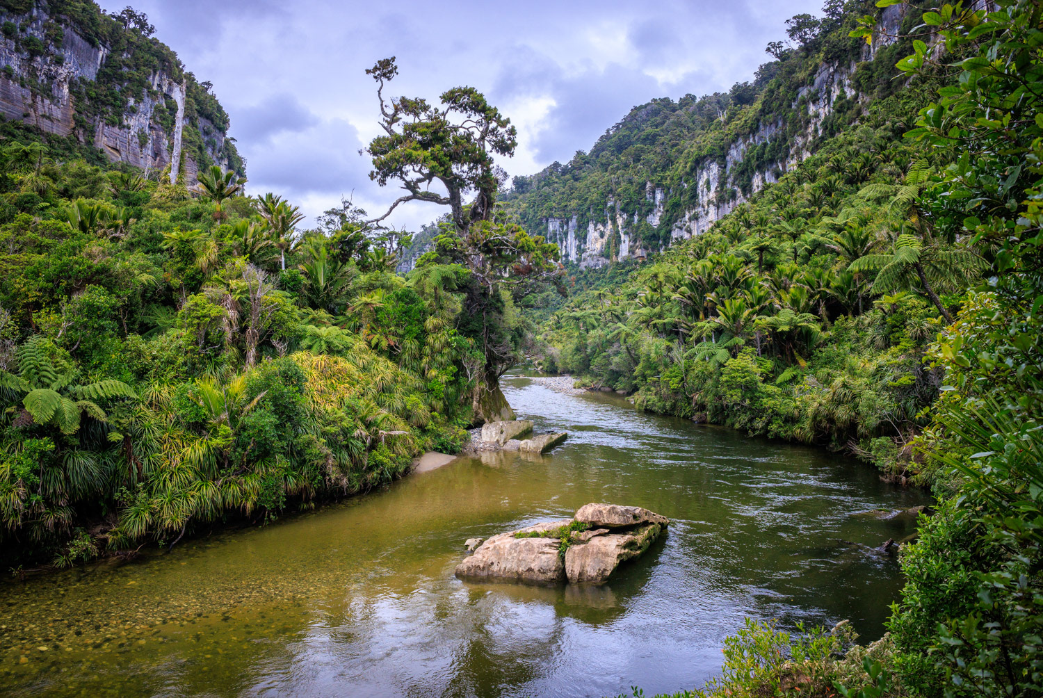 Pororari Gorge