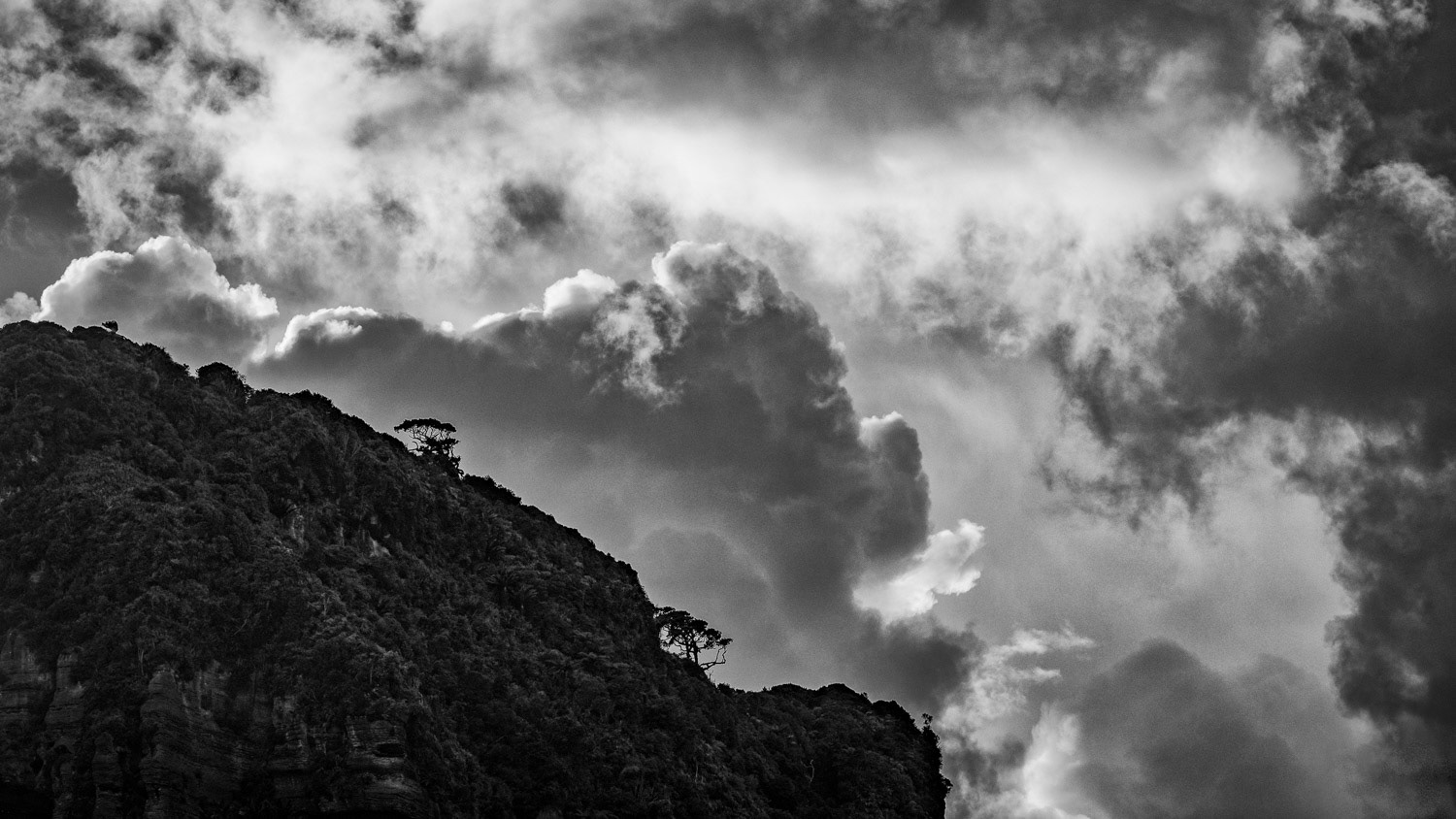 We woke up in Punakaiki to threatening storm clouds...