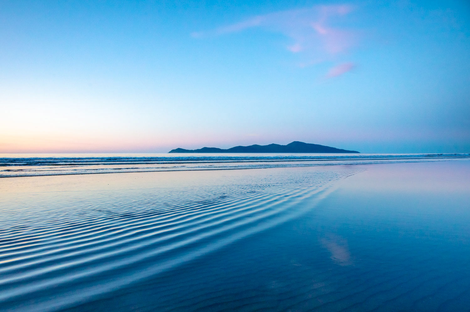 Kapiti dreaming